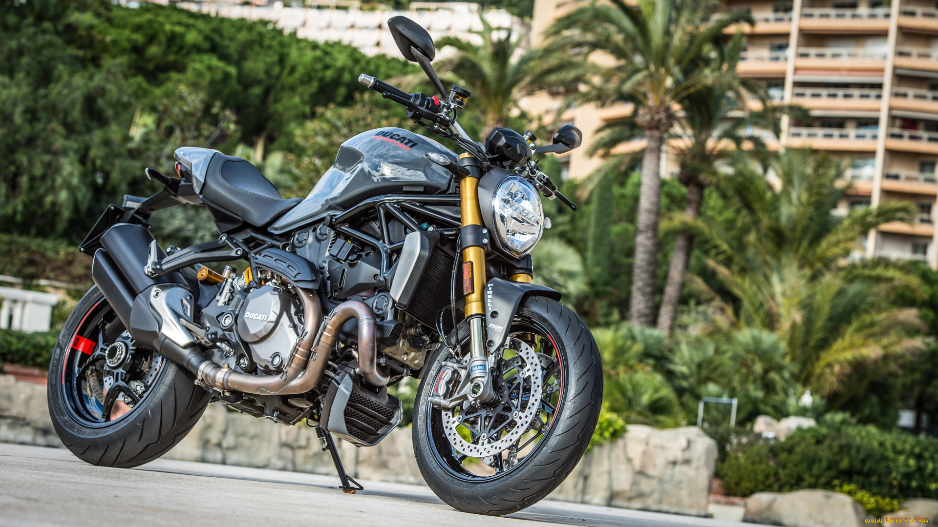 мотоциклы, ducati