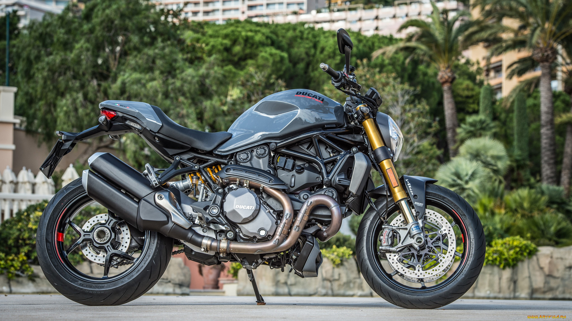 мотоциклы, ducati