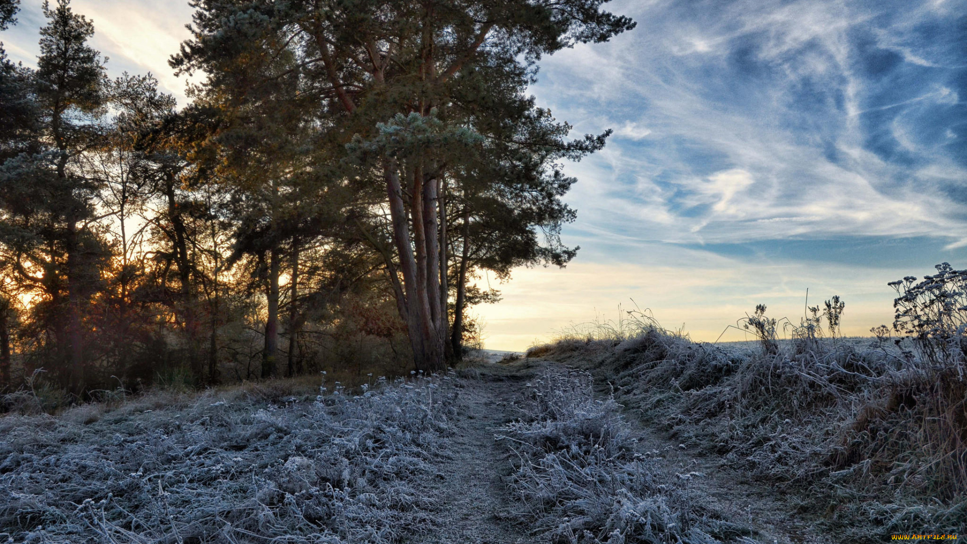 природа, дороги, дорога, облака