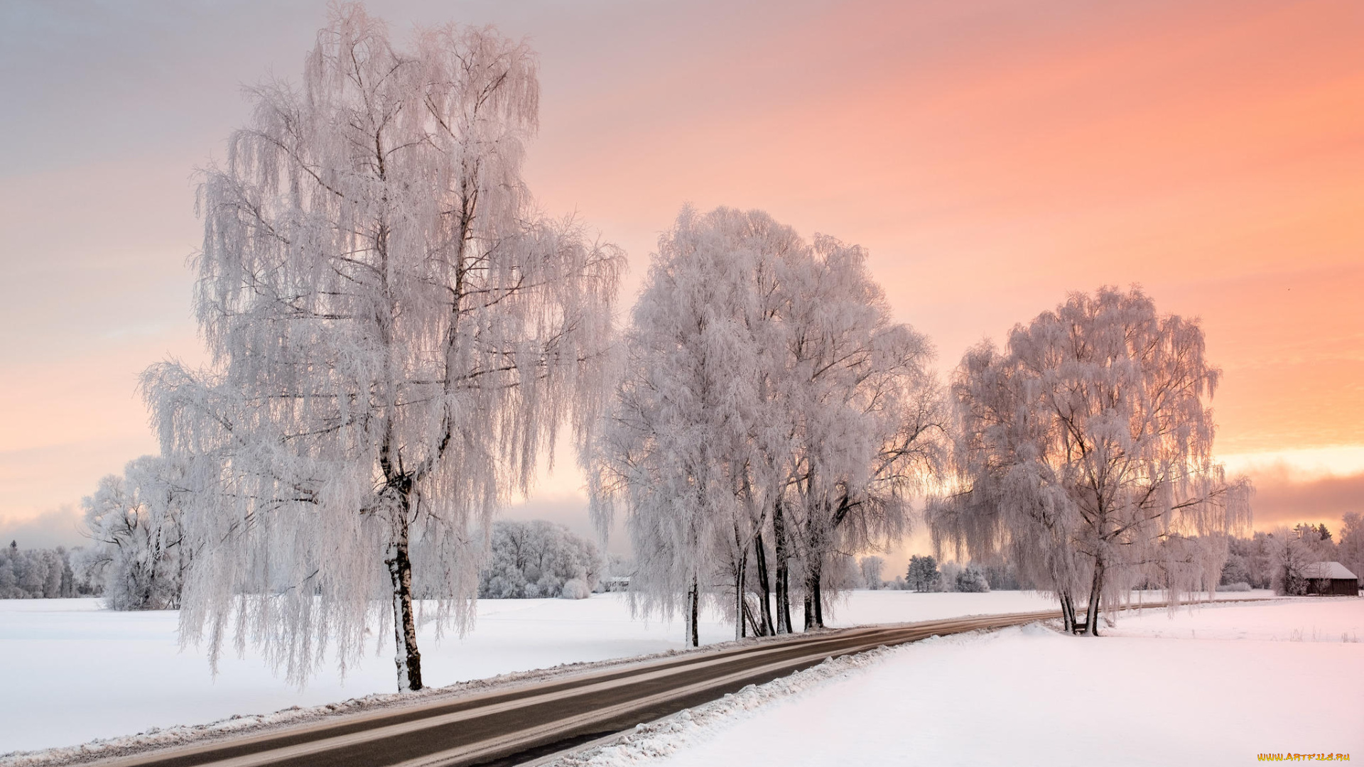 природа, дороги, снег, деревья