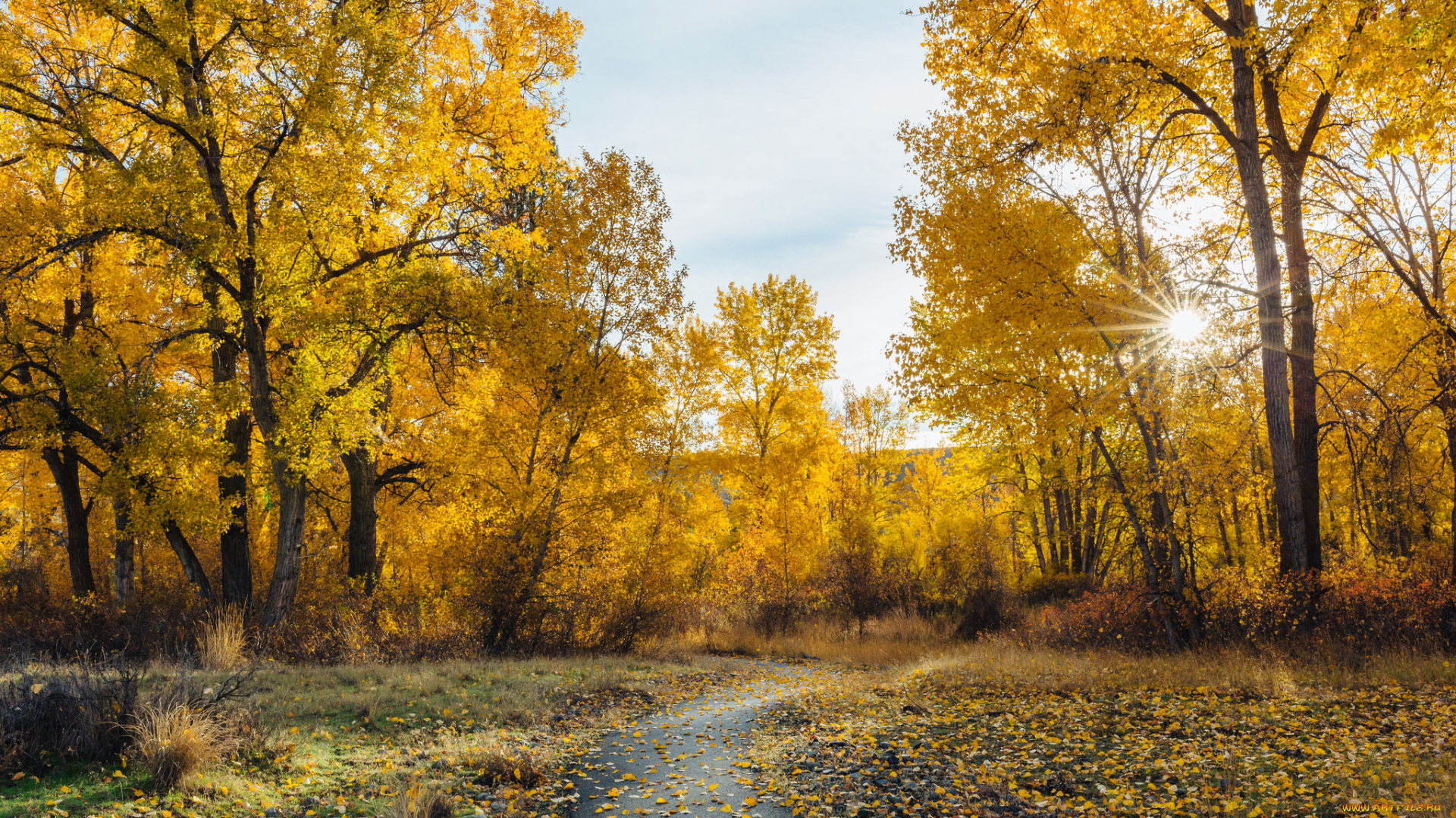 природа, дороги, тракт