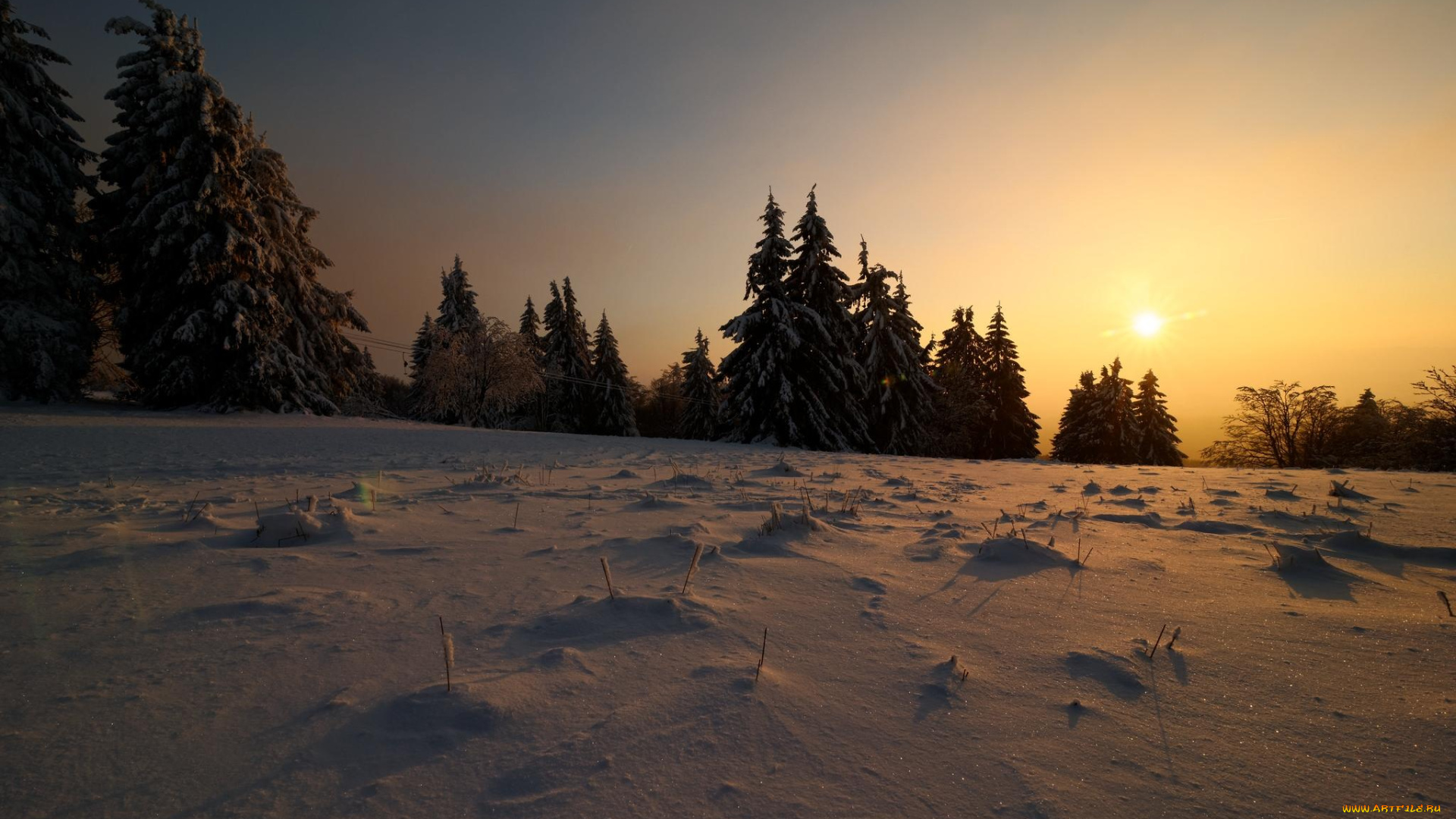 природа, восходы, закаты, снег, деревья