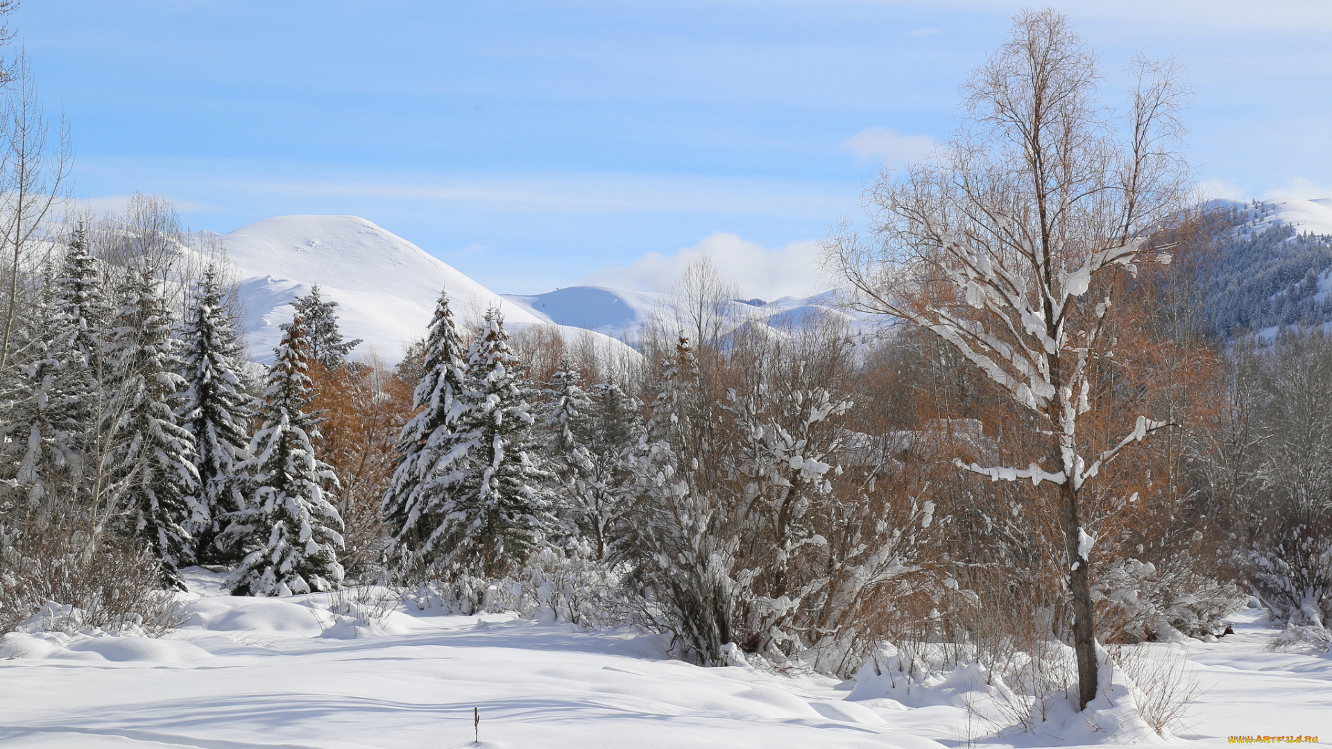 природа, зима, снег