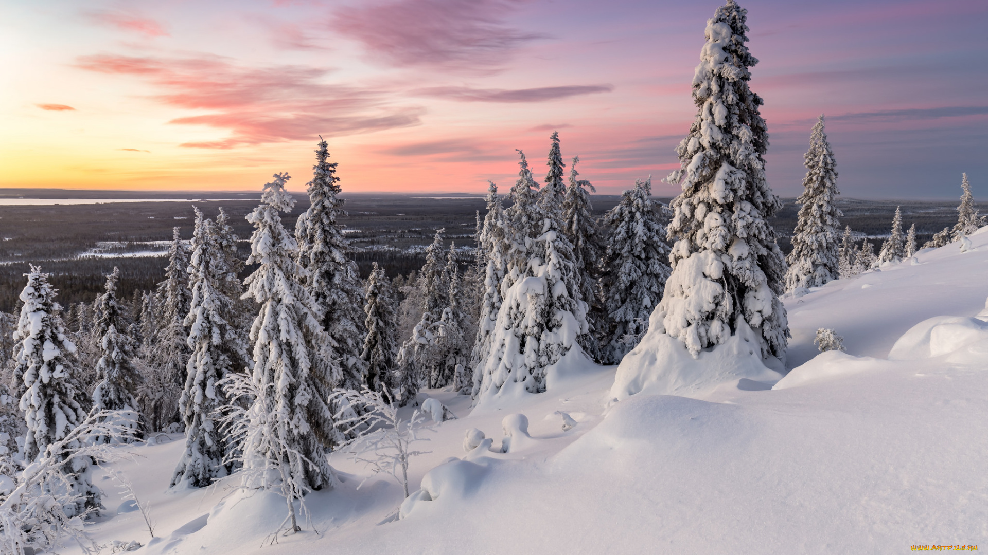 природа, зима, снег