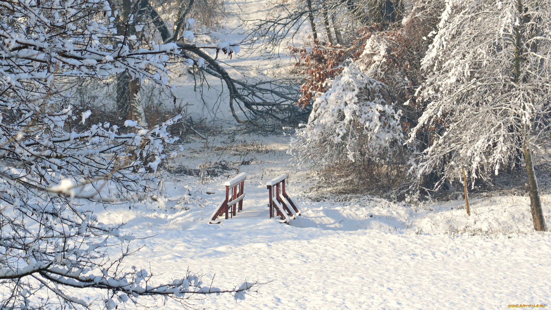 природа, зима, снег