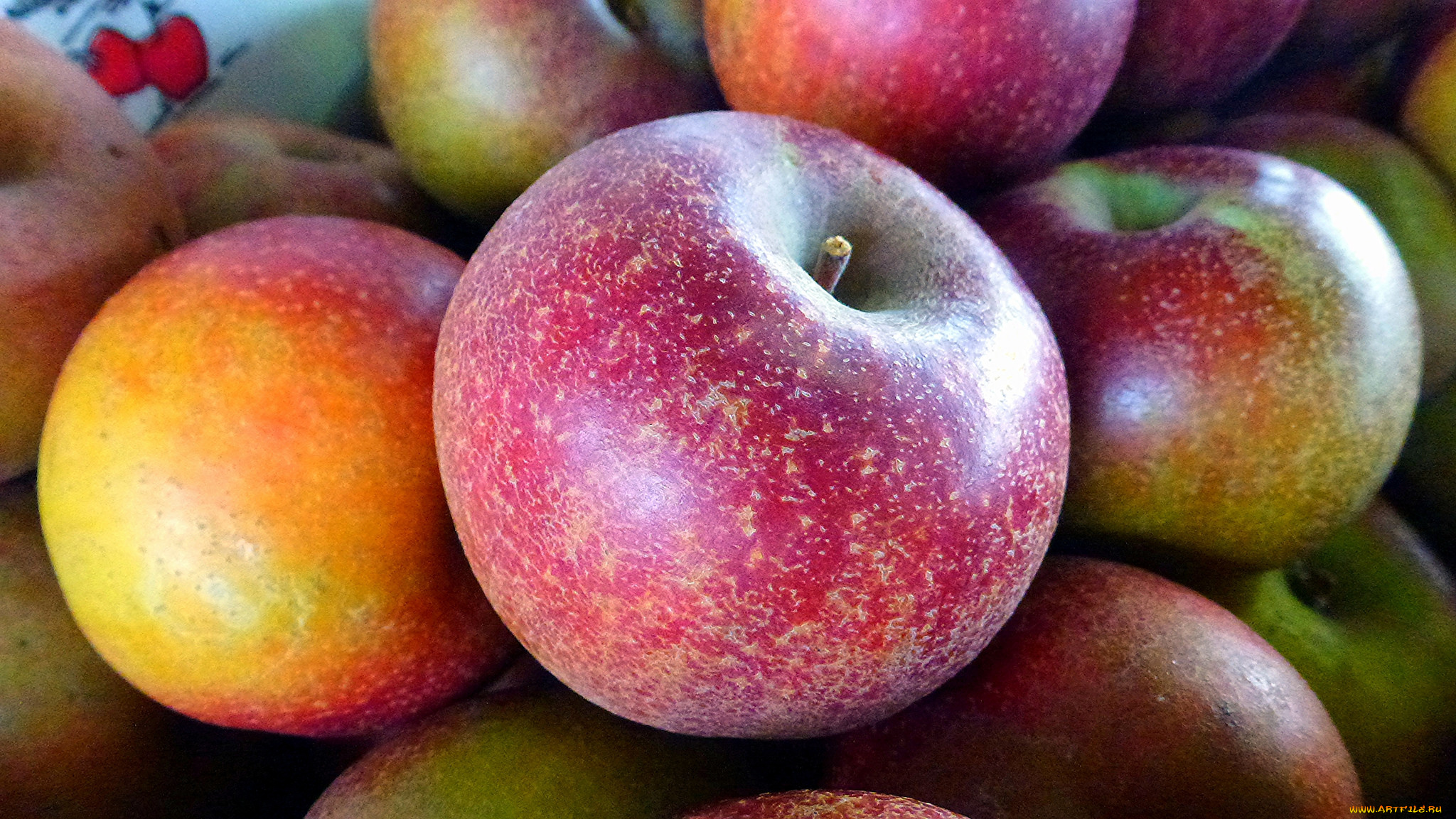 еда, Яблоки, плоды