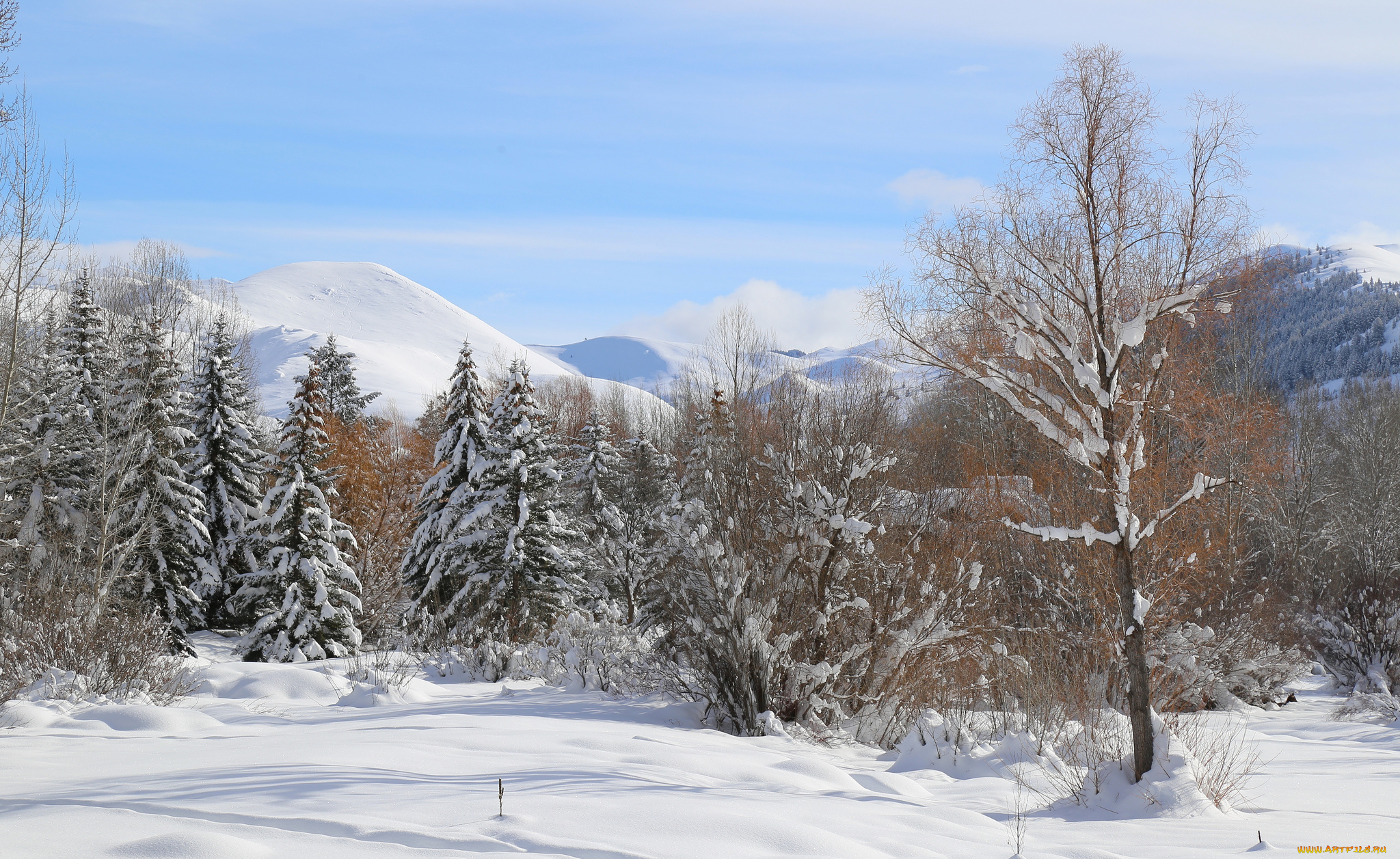 природа, зима, снег