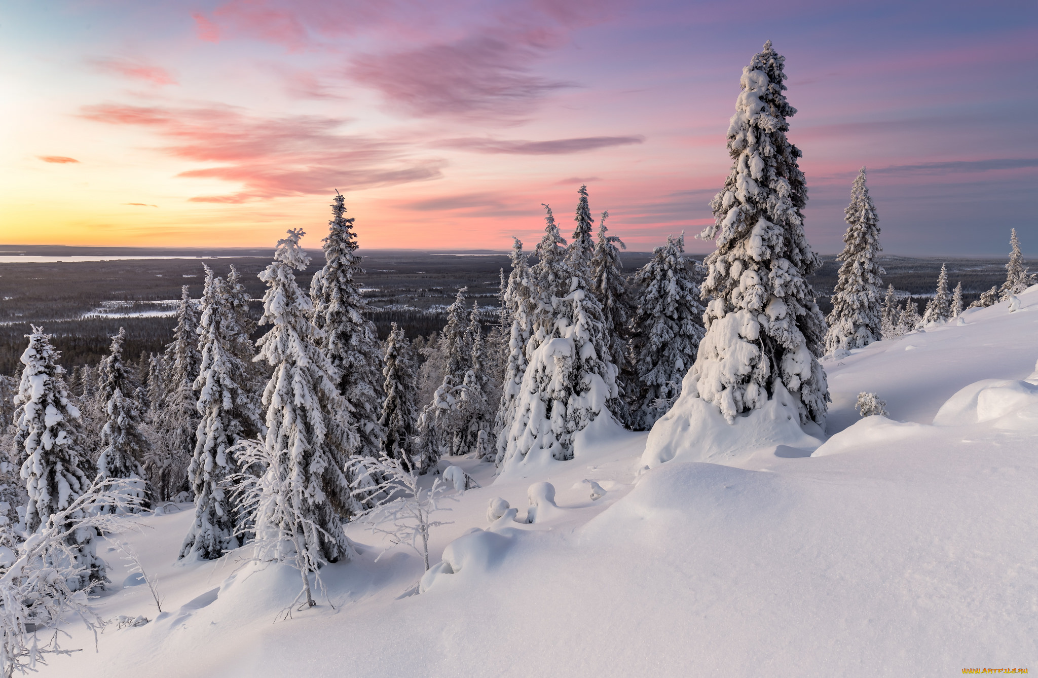 природа, зима, снег