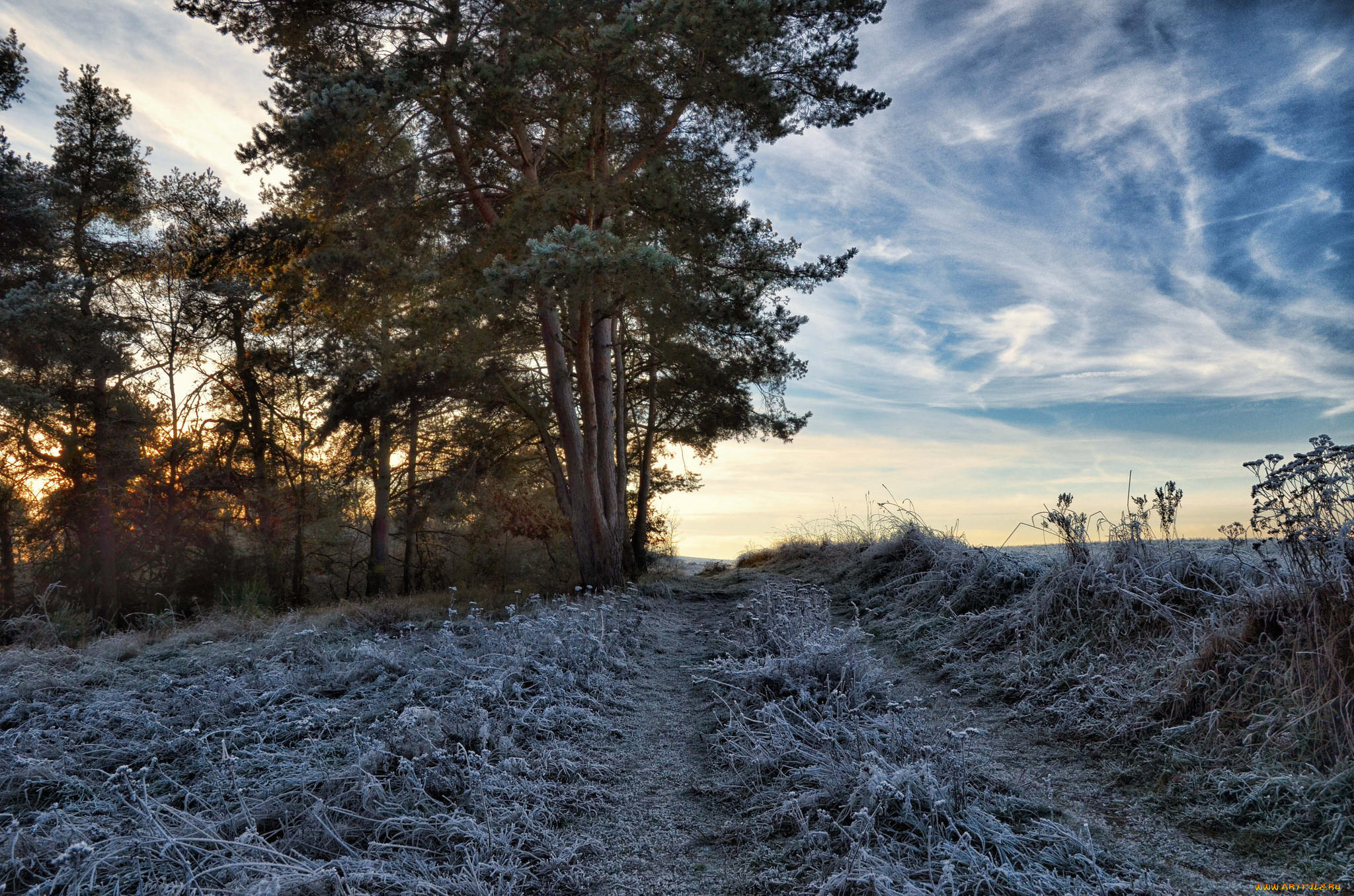 природа, дороги, дорога, облака