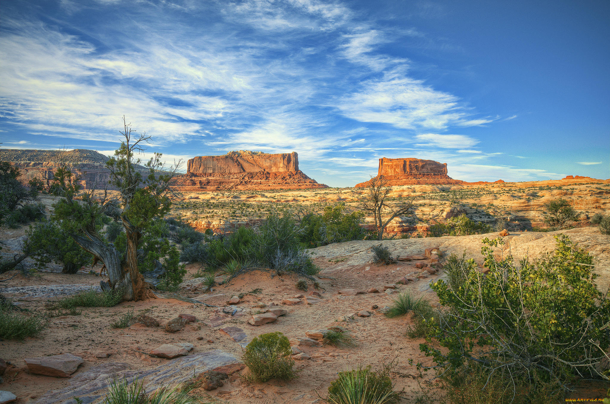 природа, пустыни, пустыня