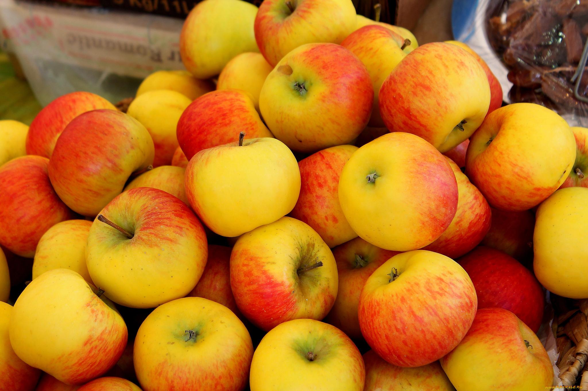 еда, Яблоки, плоды