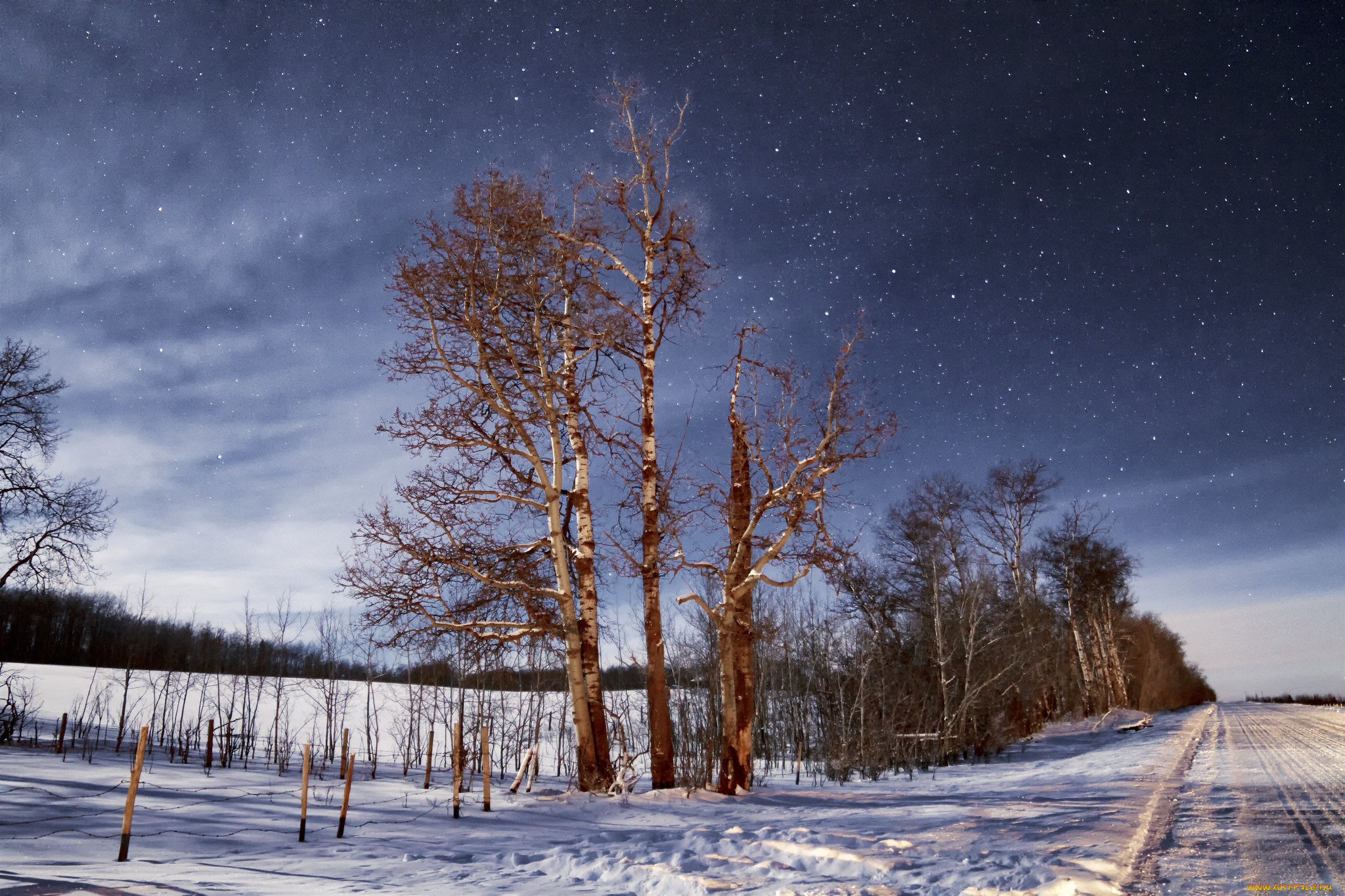 природа, дороги, тракт