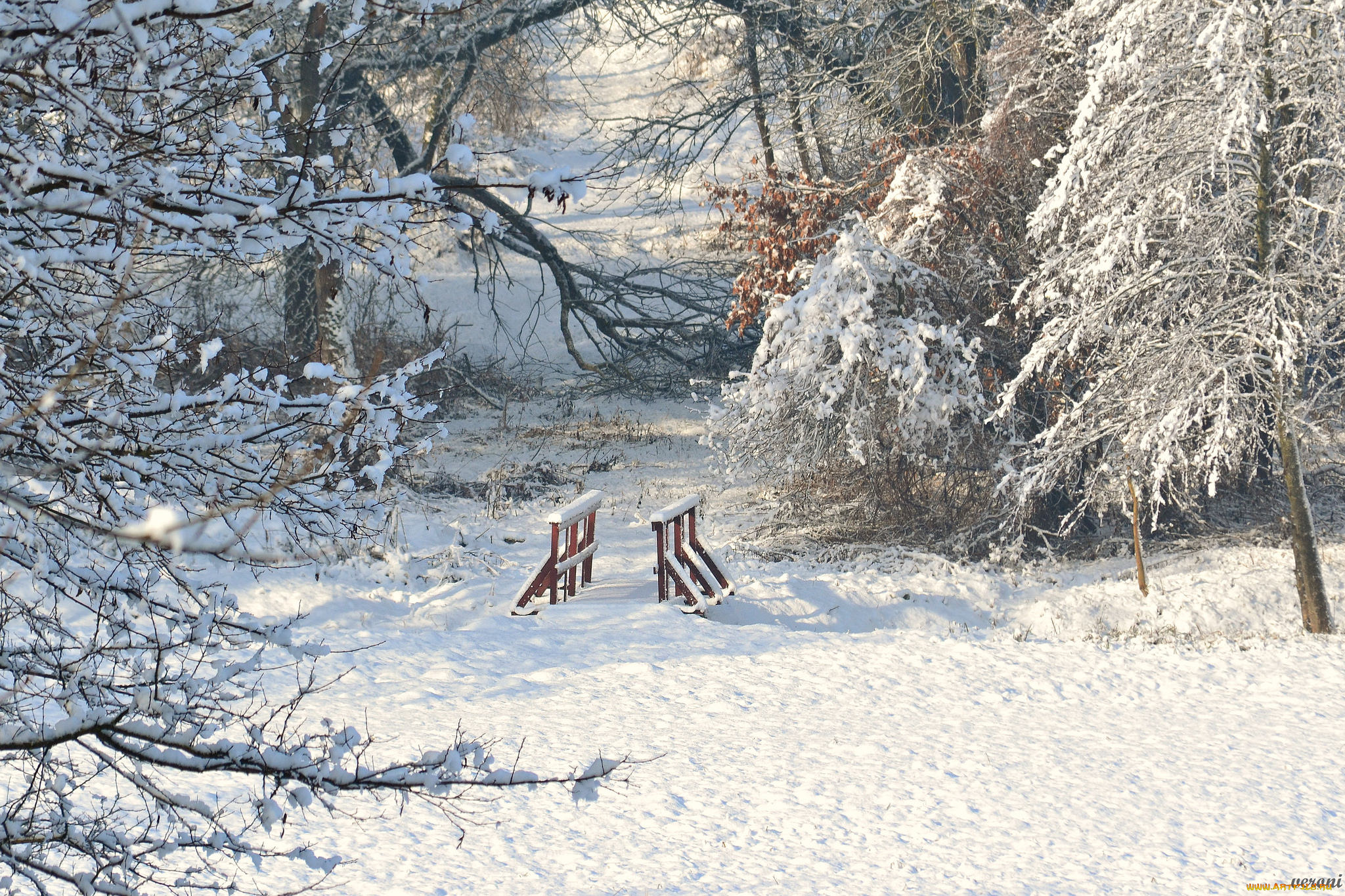 природа, зима, снег