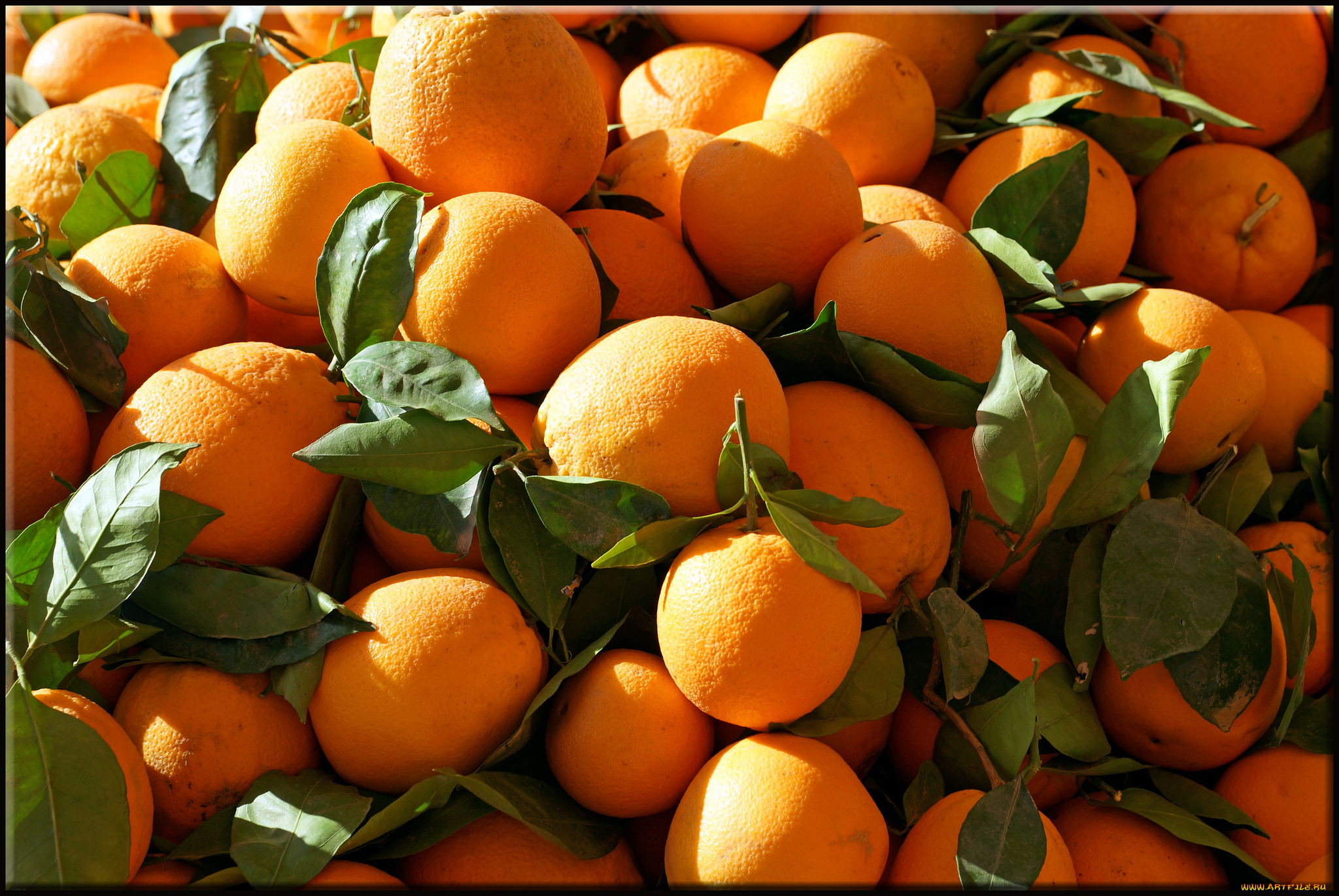 еда, цитрусы, плоды