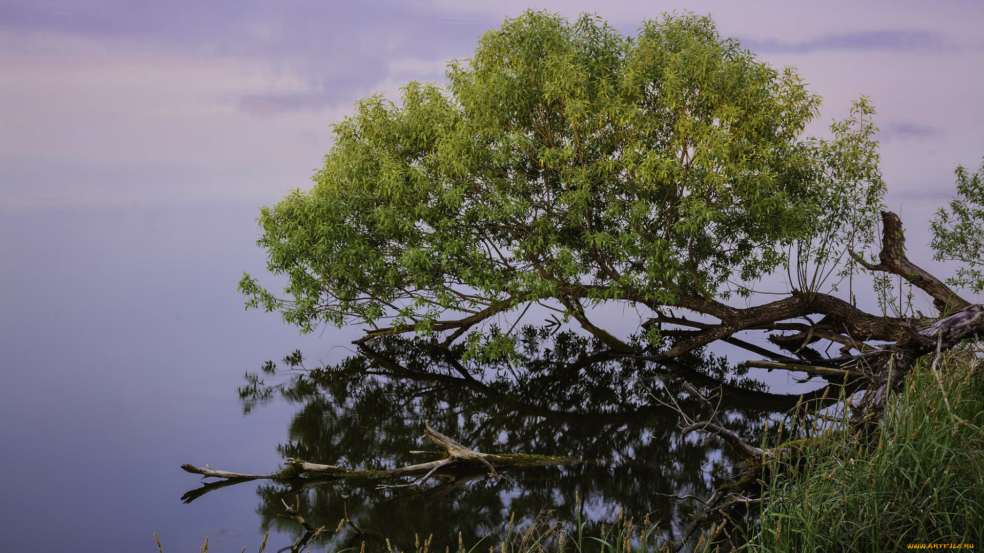 природа, дороги, простор