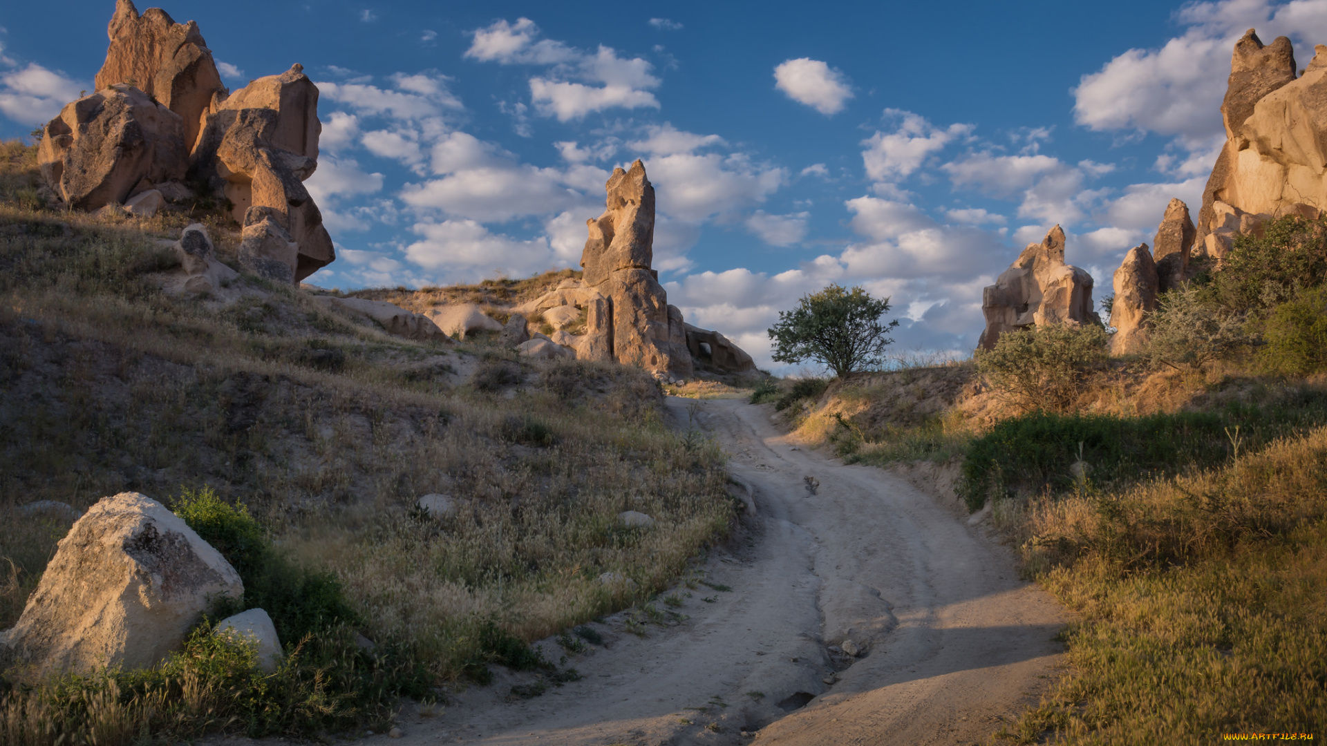 природа, дороги, простор