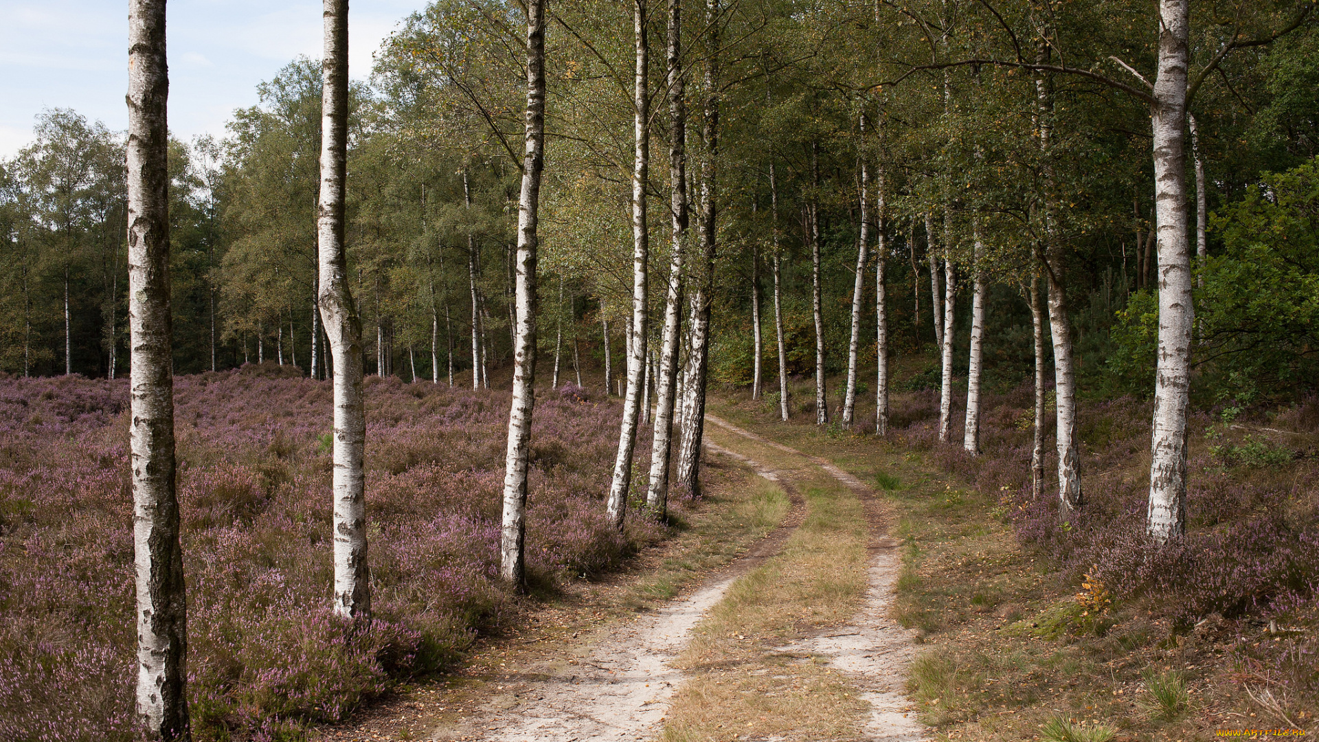 природа, дороги, простор