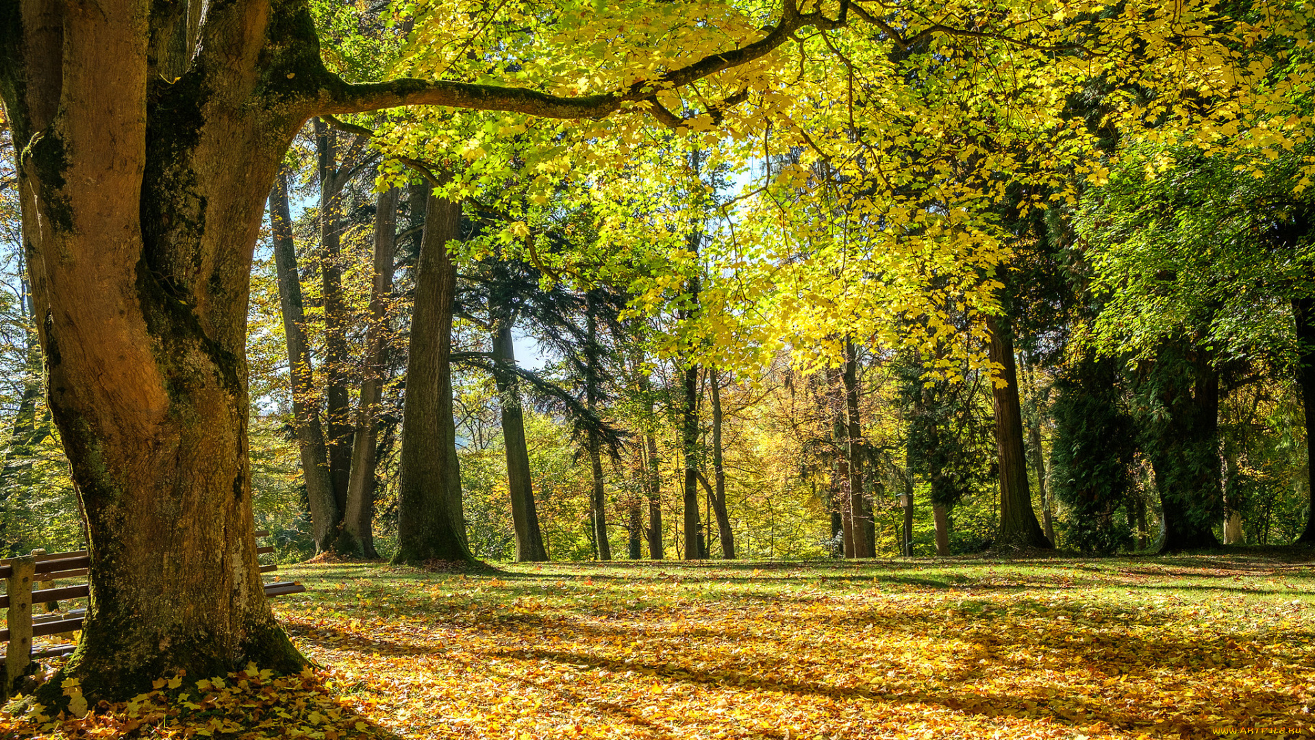 природа, дороги, простор