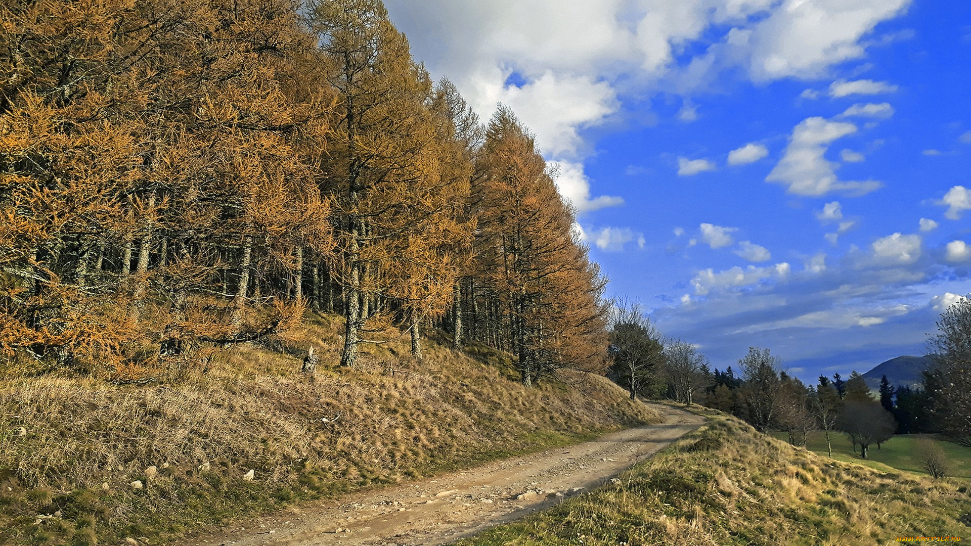 природа, дороги, простор