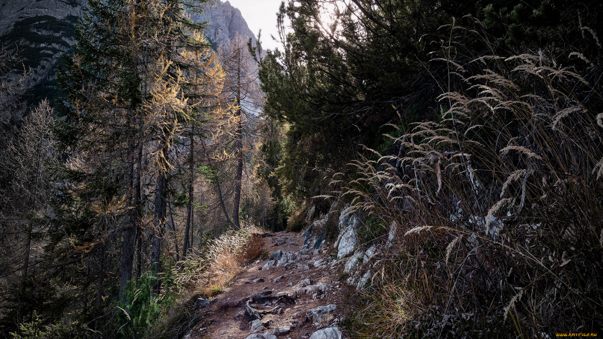 природа, горы, простор