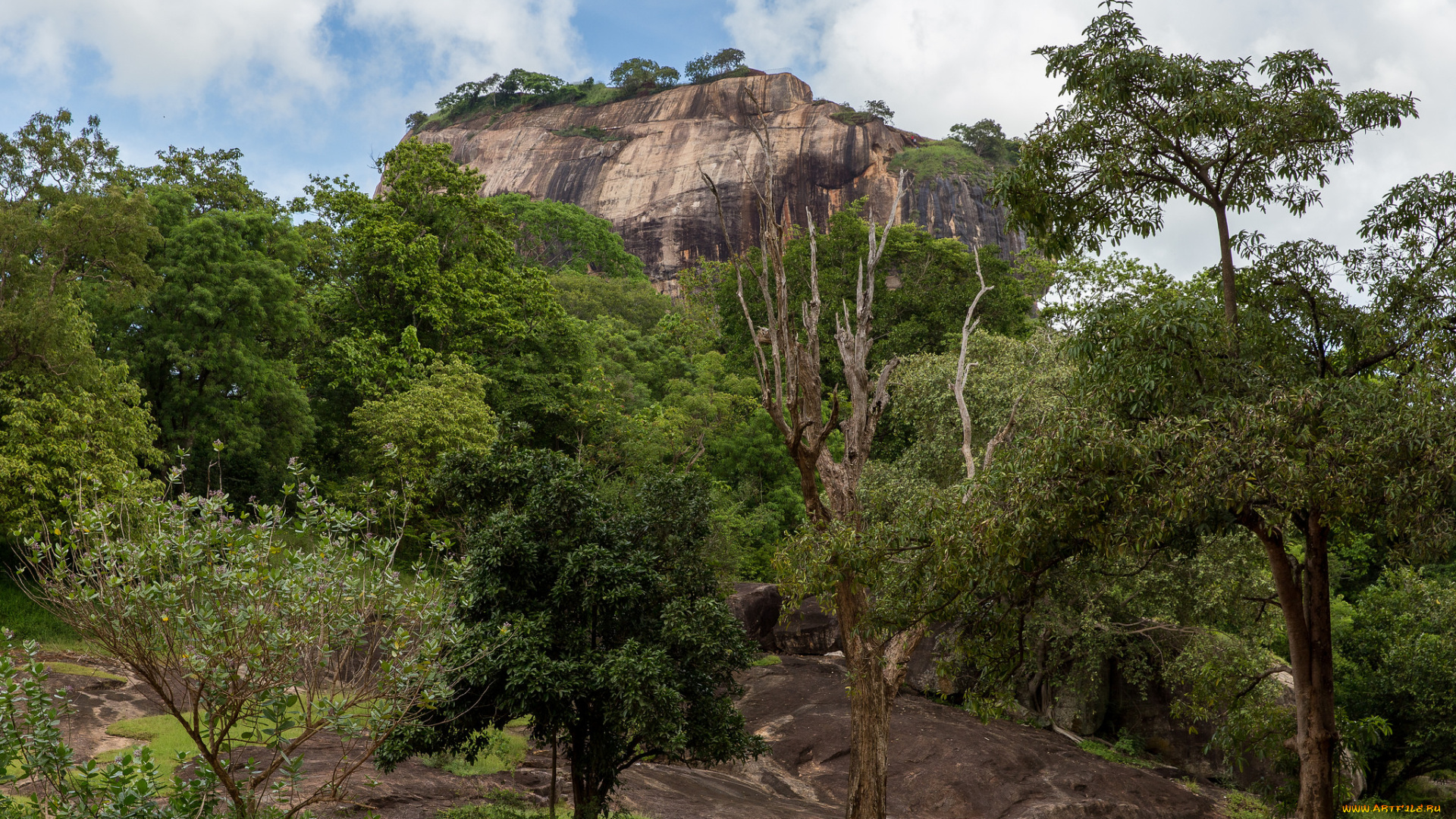 природа, горы, простор