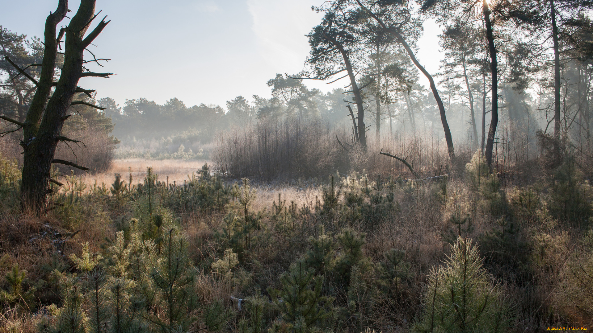 природа, пейзажи, простор