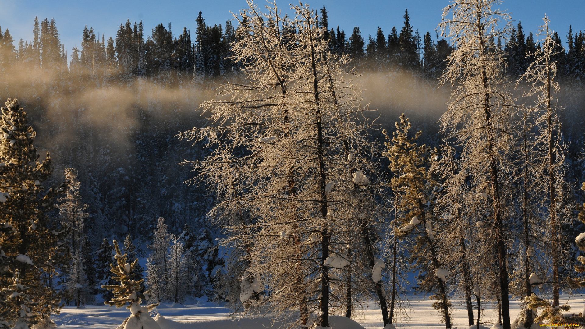 природа, пейзажи, простор