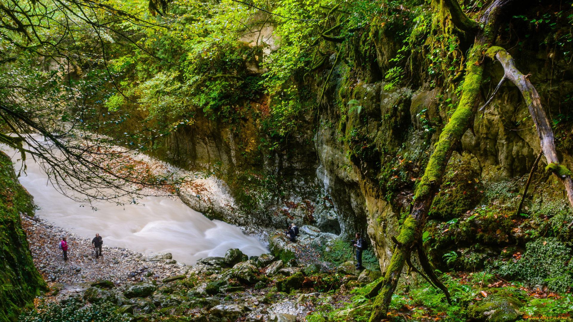 природа, реки, озера, простор