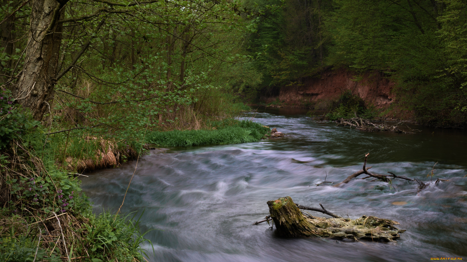 природа, реки, озера, простор