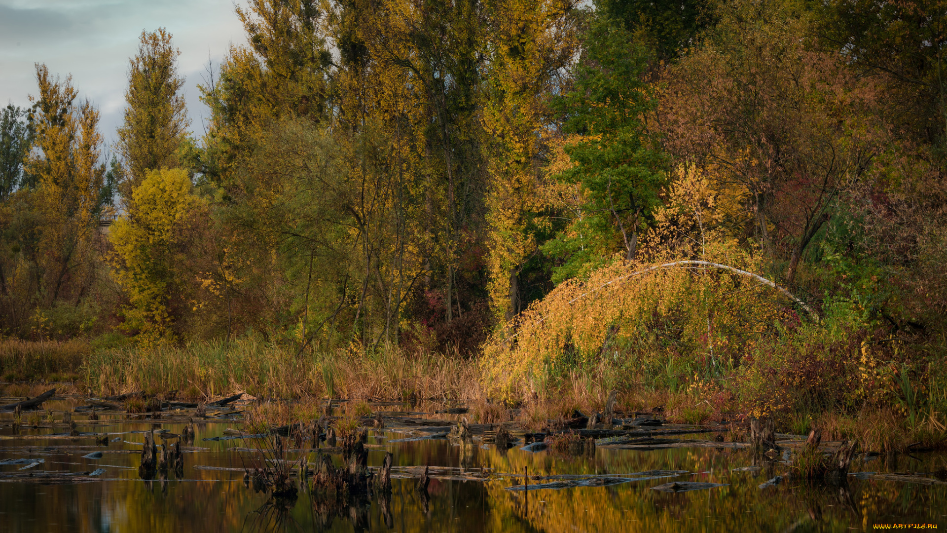 природа, реки, озера, простор