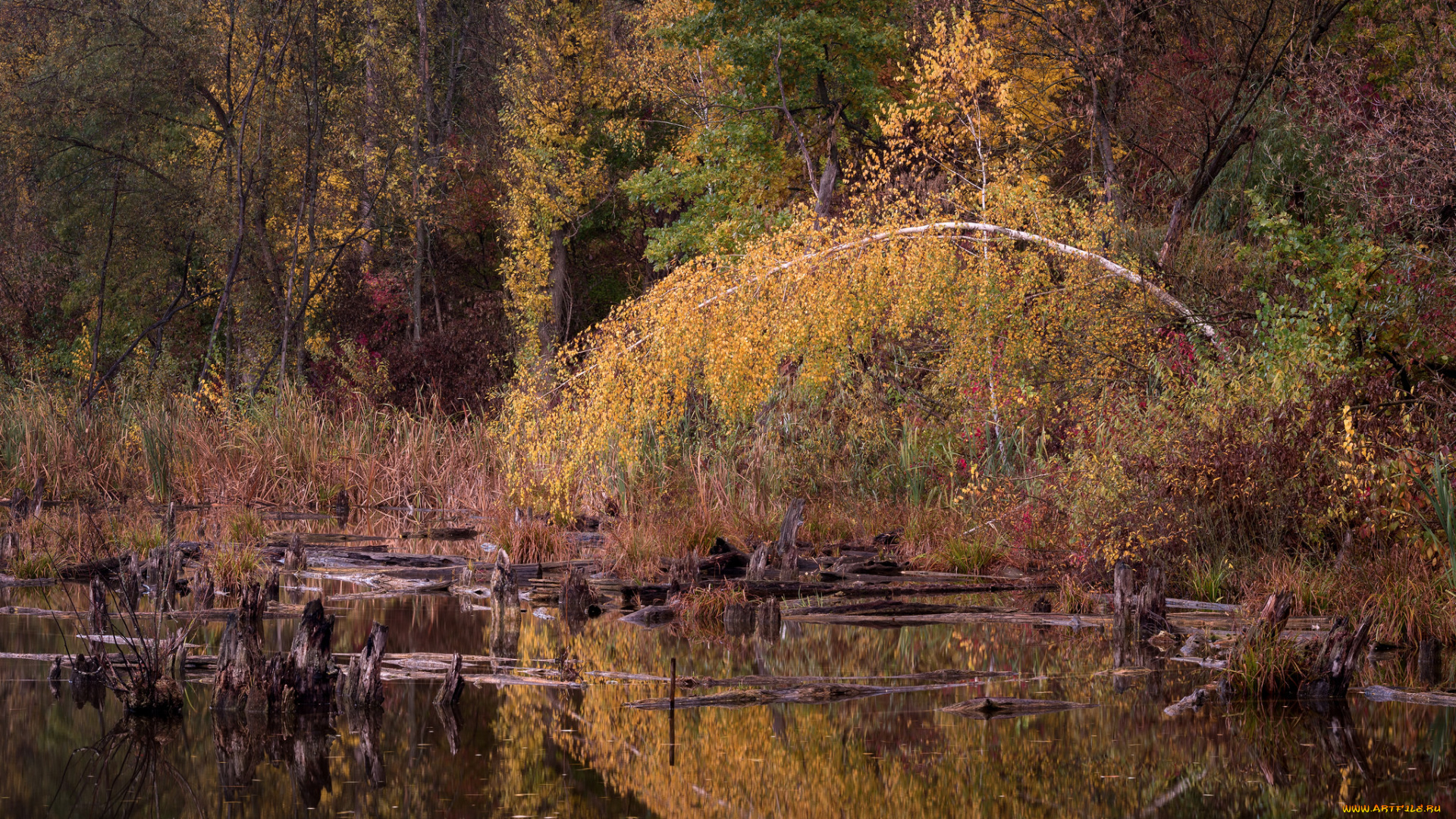 природа, реки, озера, простор
