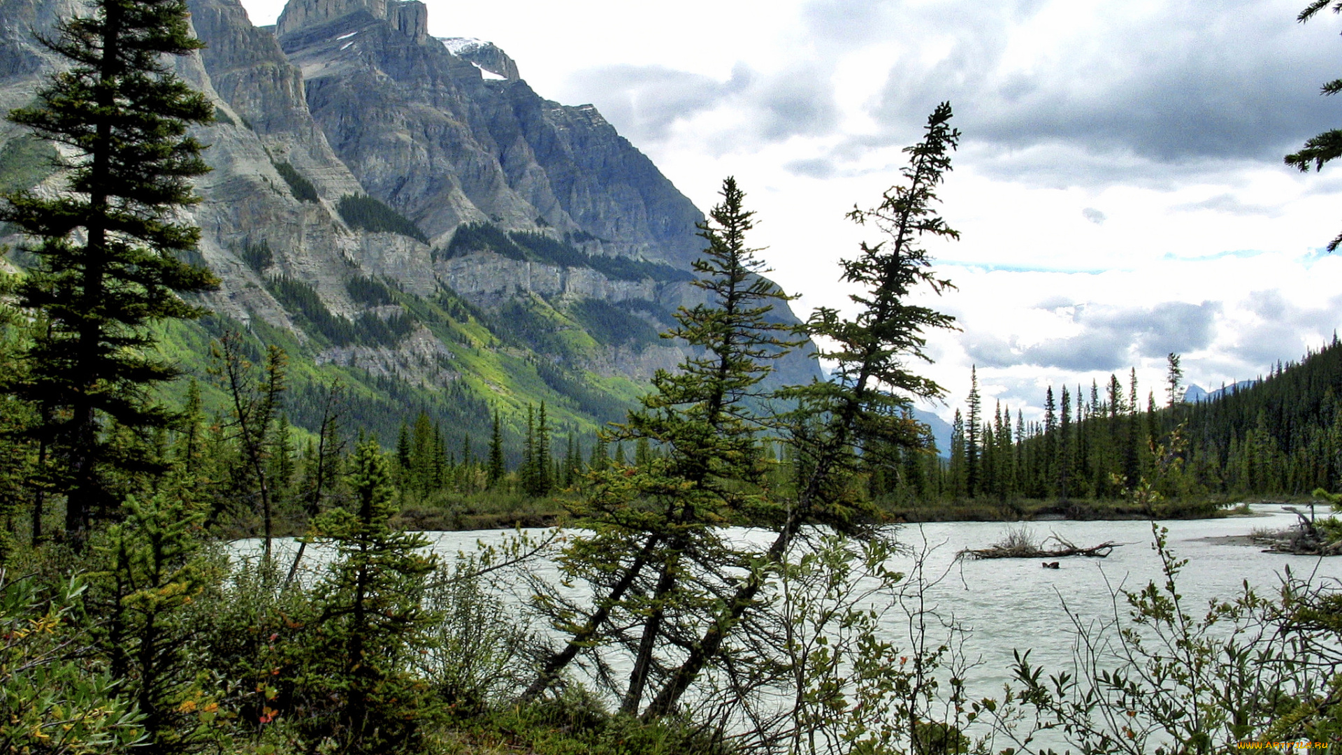 природа, реки, озера, простор