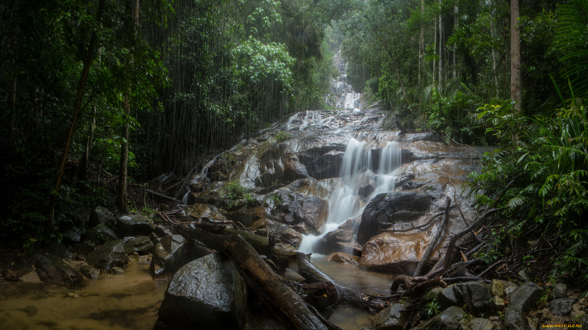 природа, реки, озера, простор