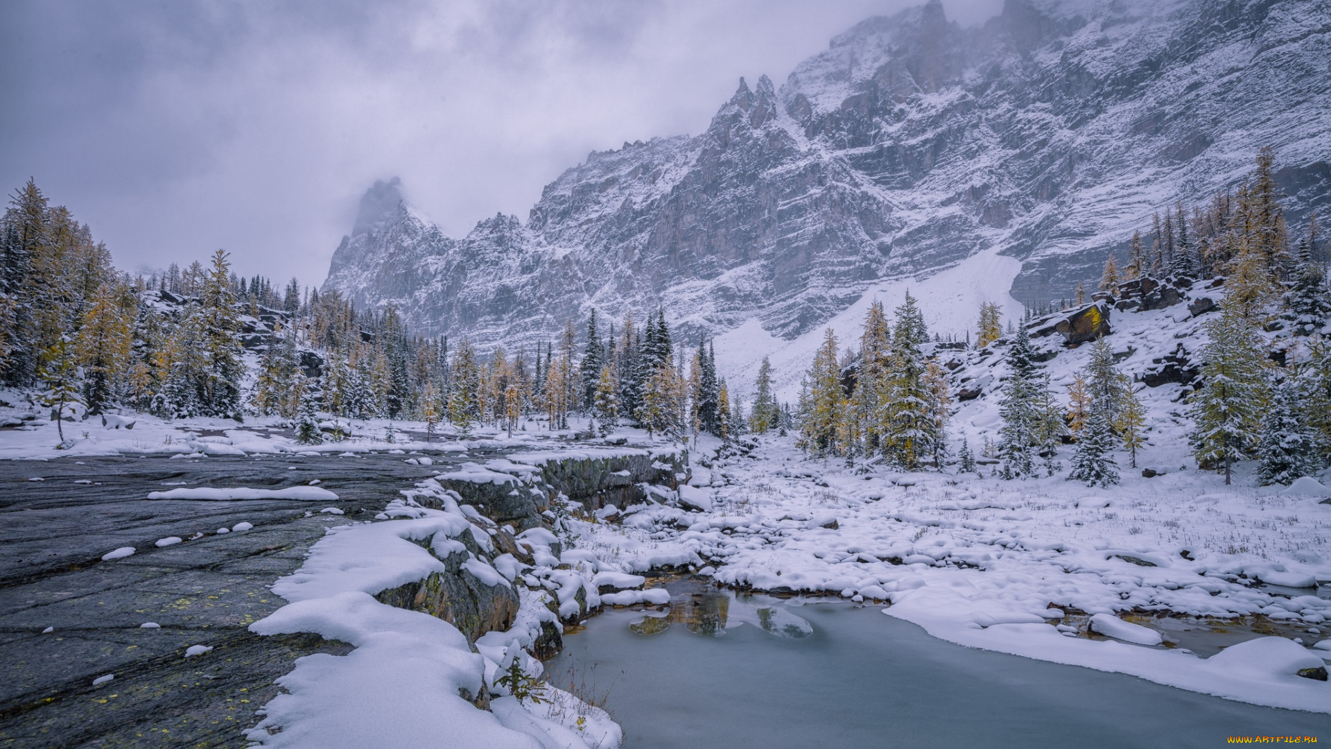 природа, реки, озера, простор