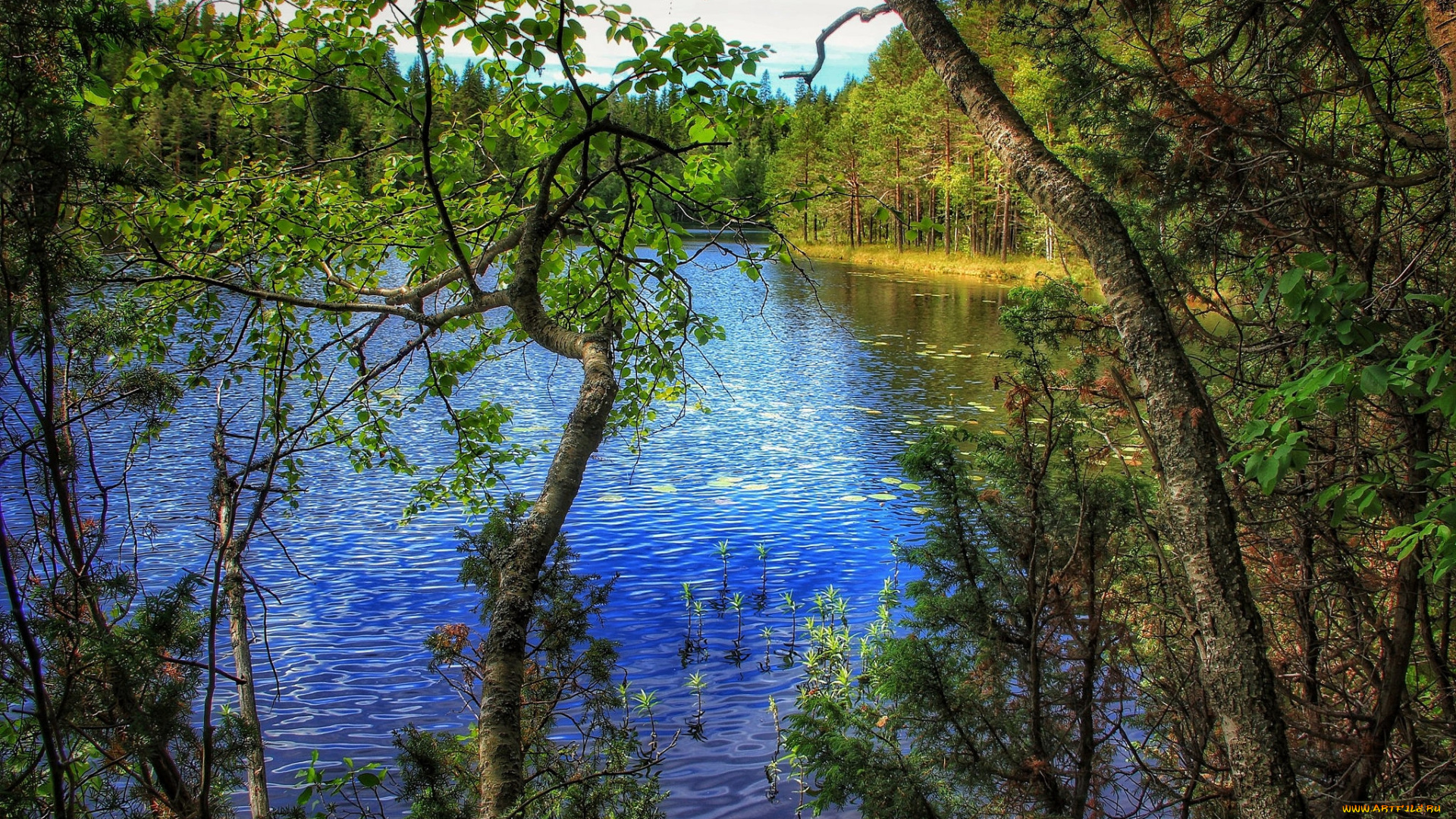 природа, реки, озера, простор