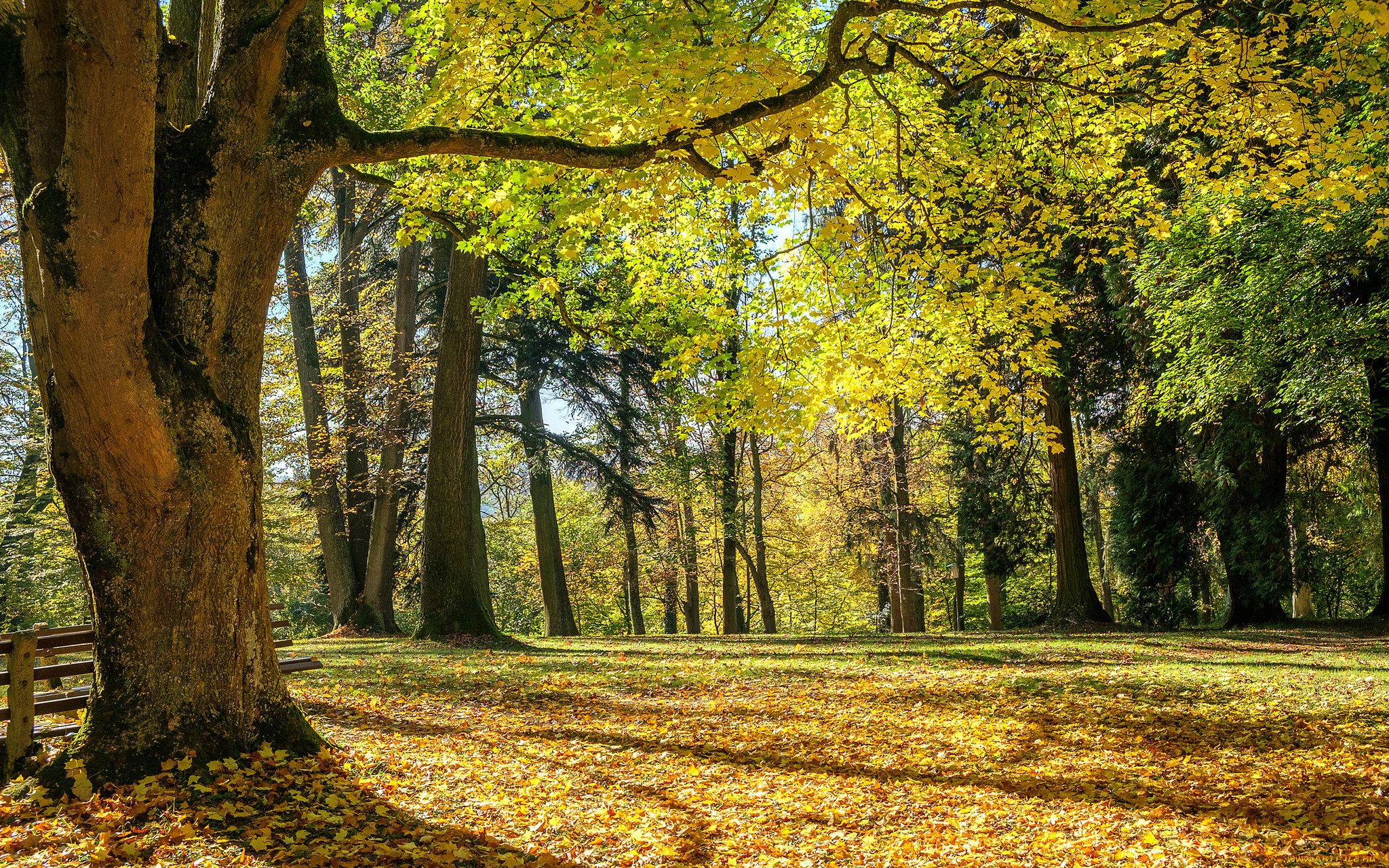 природа, дороги, простор