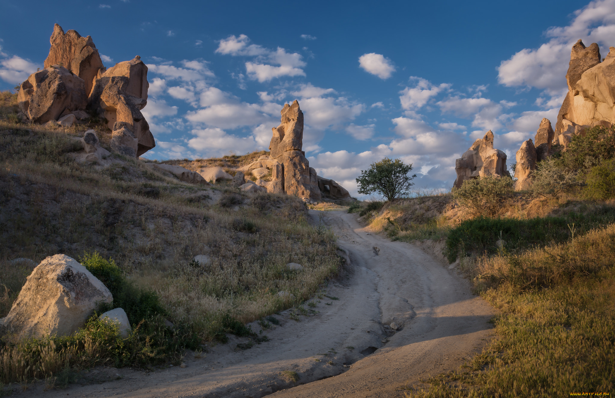 природа, дороги, простор