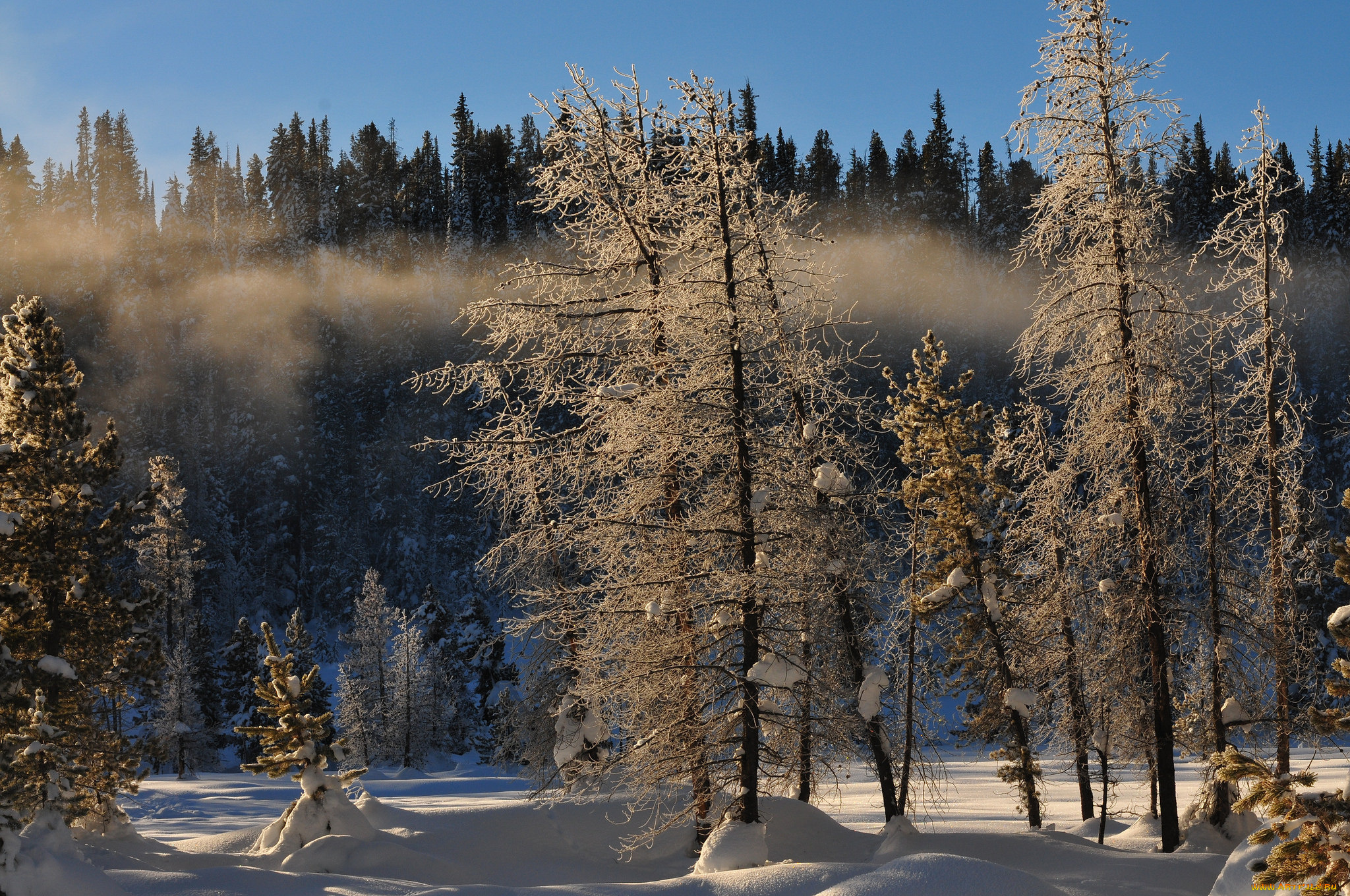 природа, пейзажи, простор