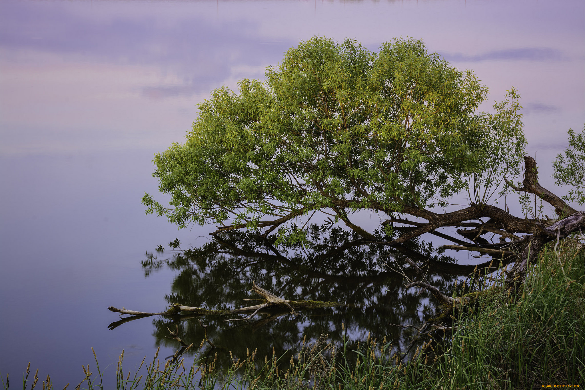 природа, дороги, простор