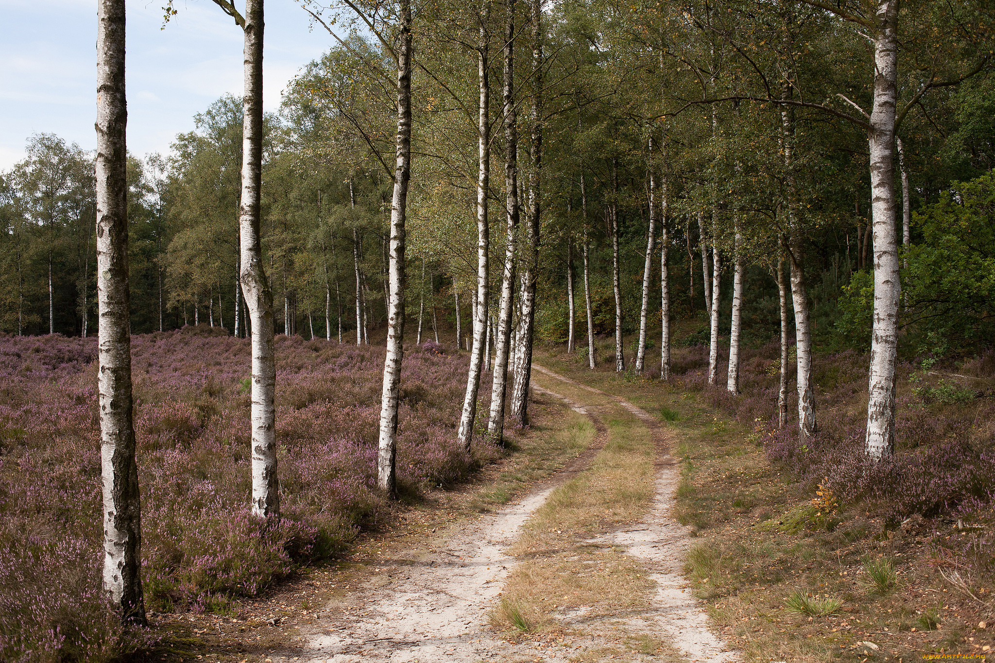 природа, дороги, простор