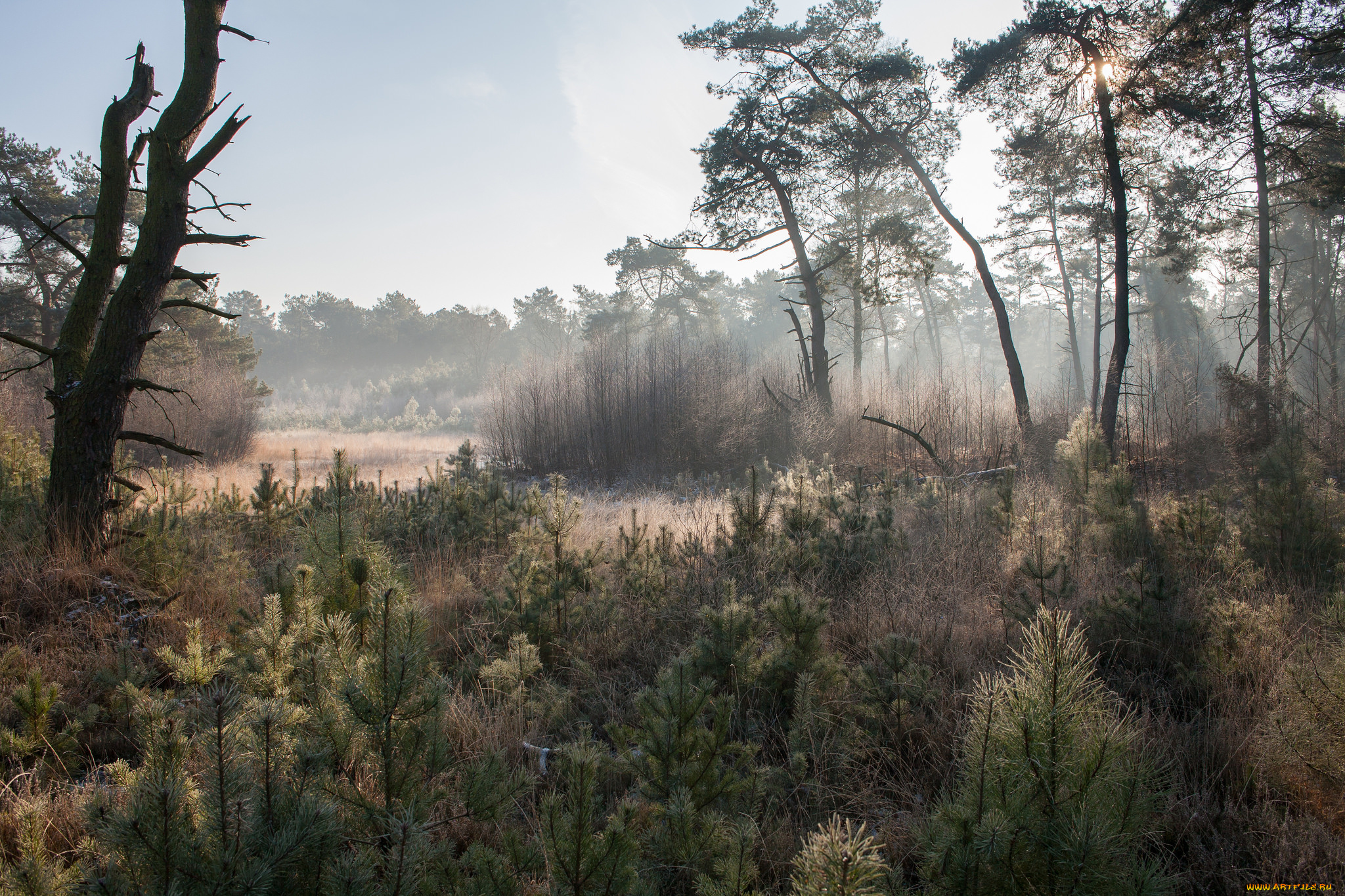природа, пейзажи, простор