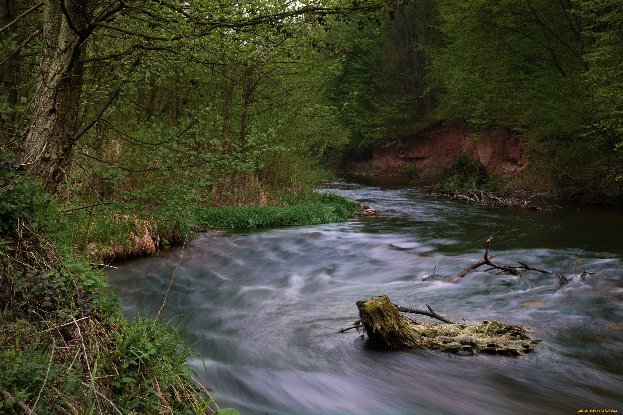 природа, реки, озера, простор