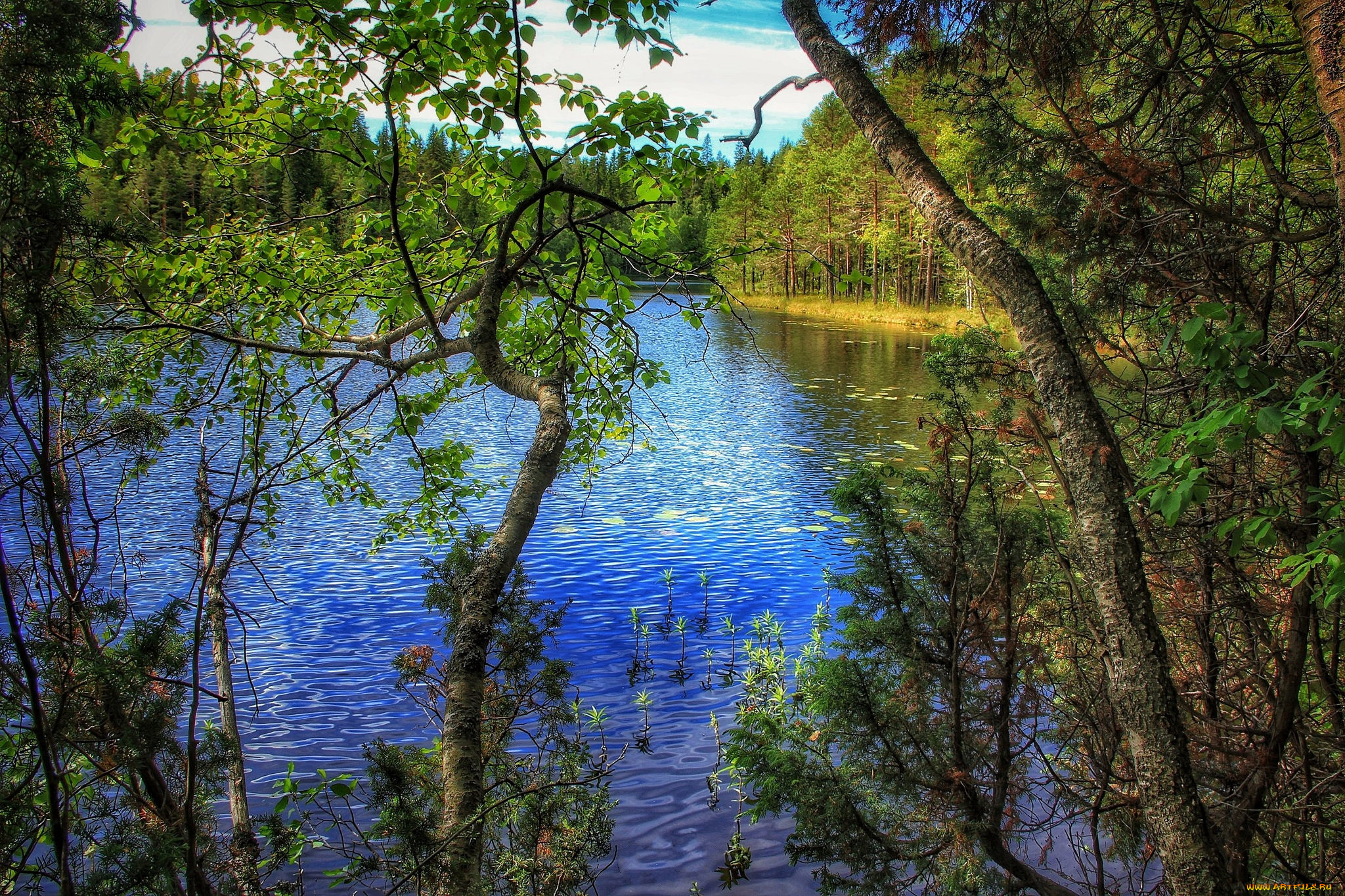 природа, реки, озера, простор