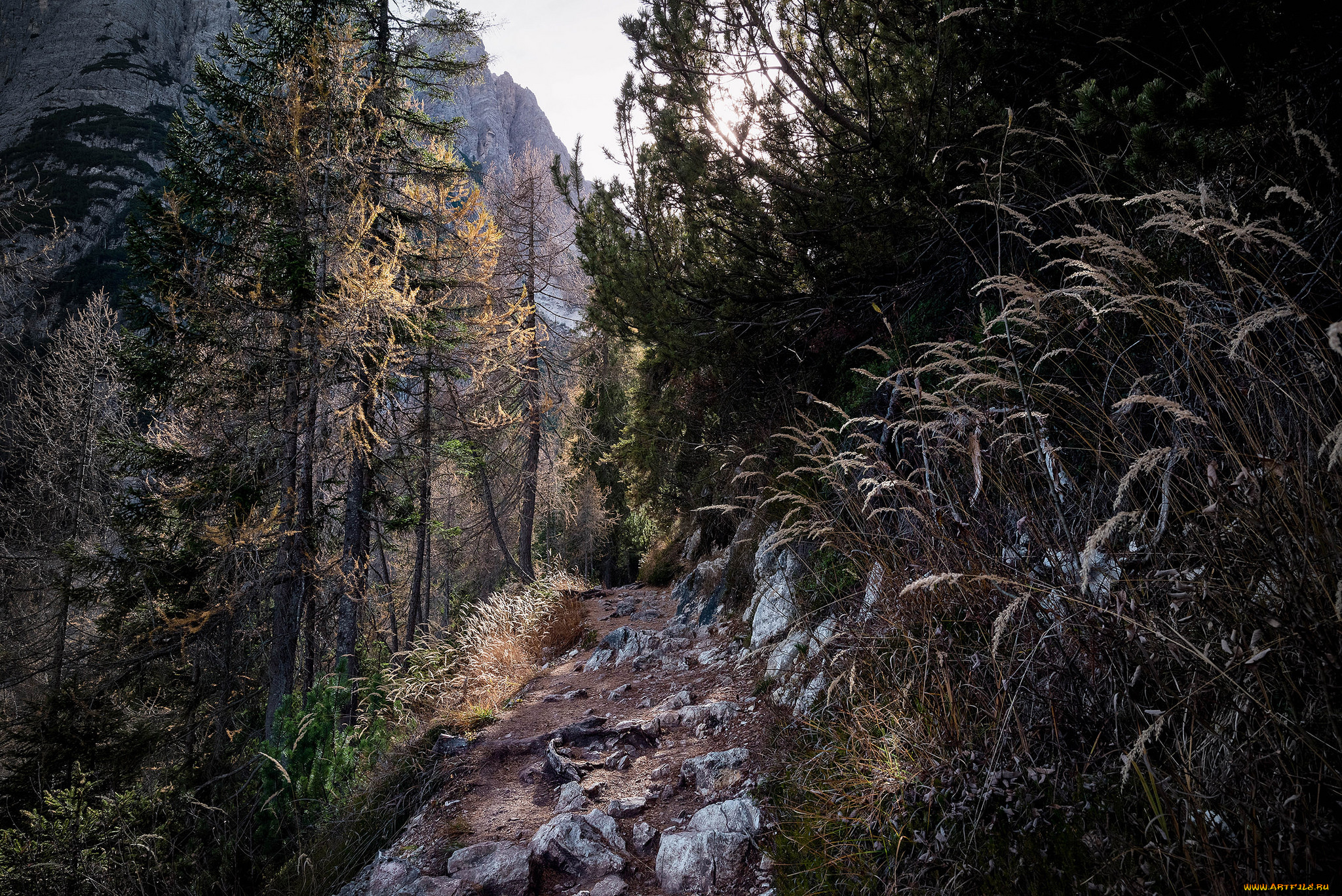 природа, горы, простор