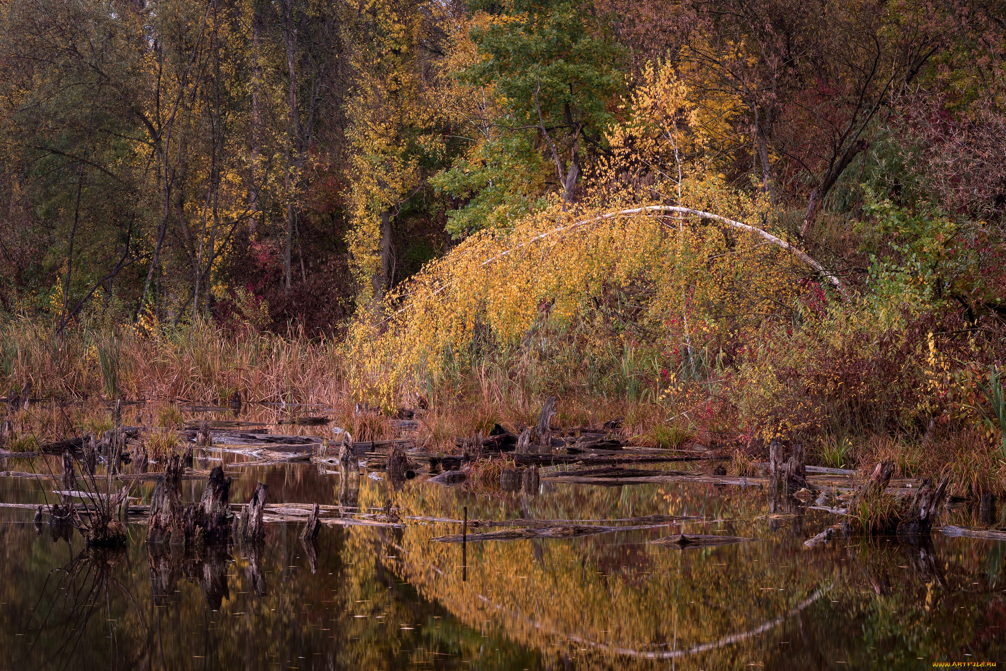 природа, реки, озера, простор