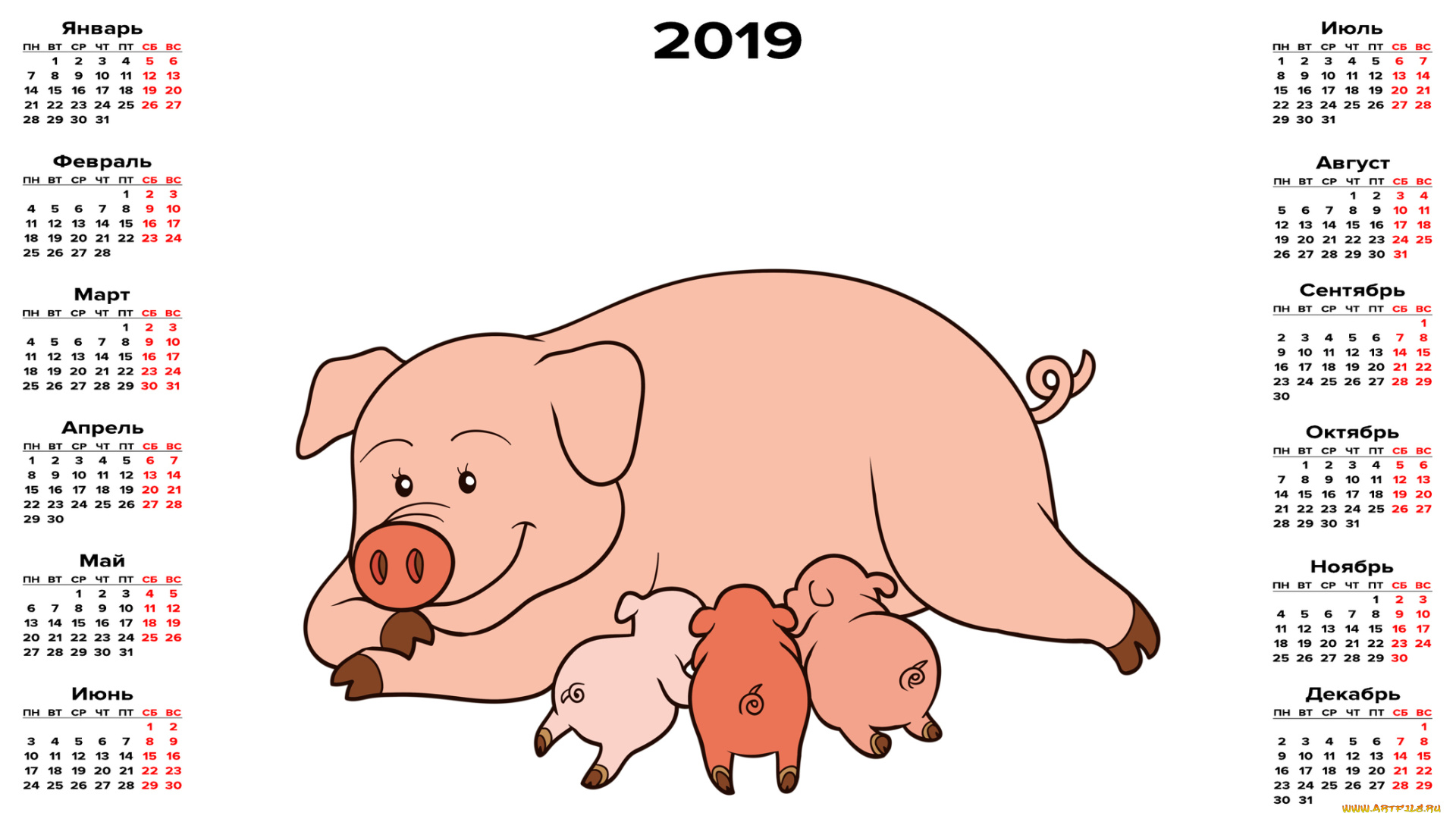 календари, рисованные, , векторная, графика, свинья, поросенок