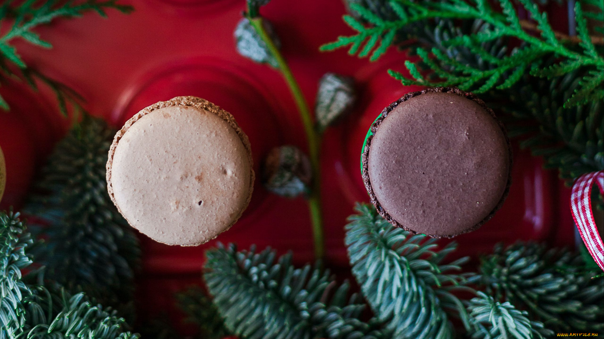 еда, макаруны, лакомство, печенье, ассорти