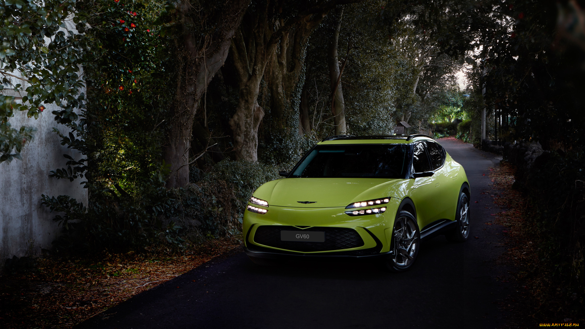 автомобили, genesis