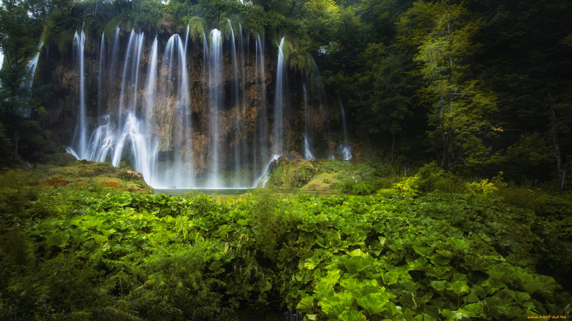 природа, водопады, водопад