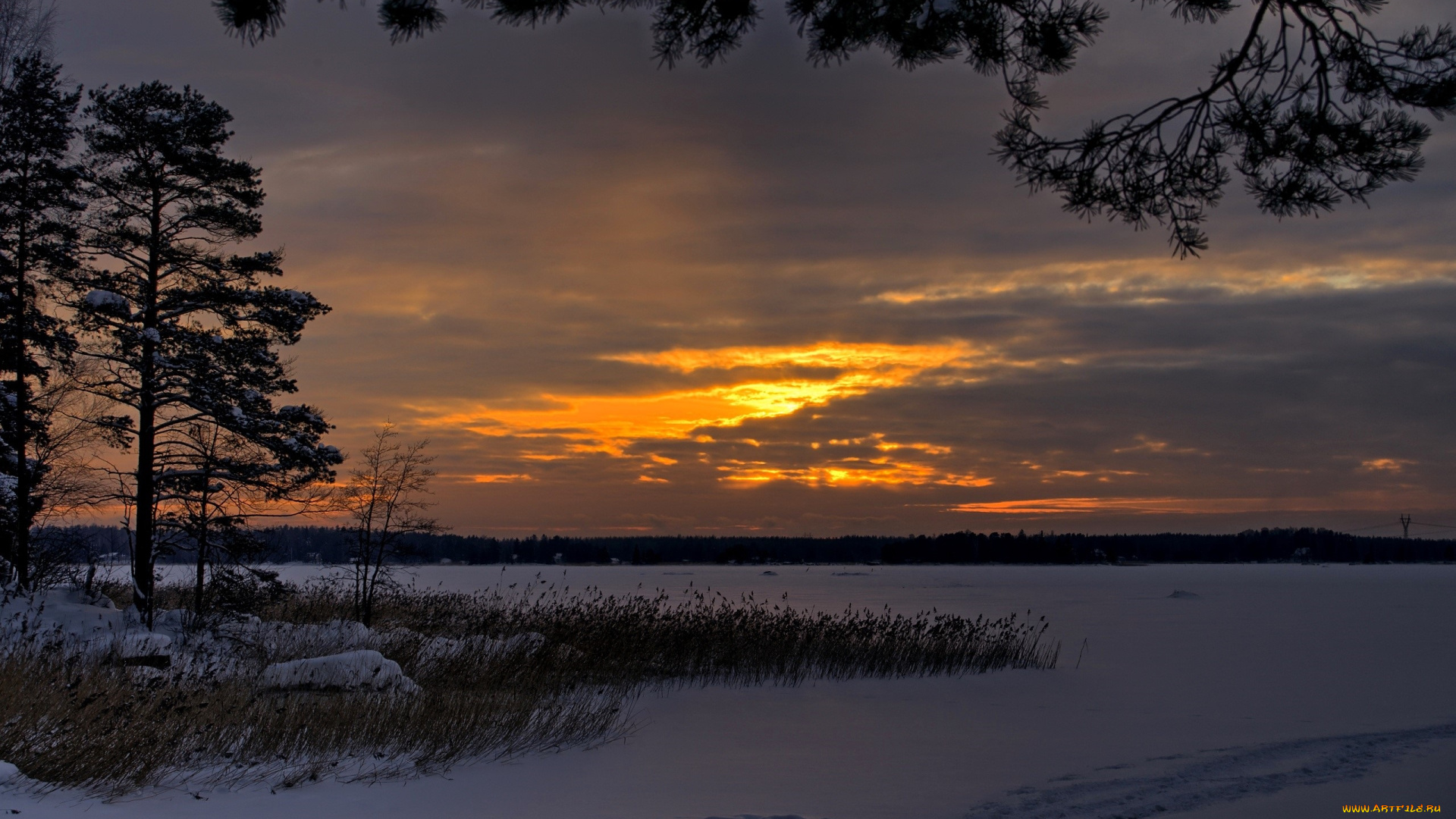 природа, восходы, закаты, закат, лес, снег, следы